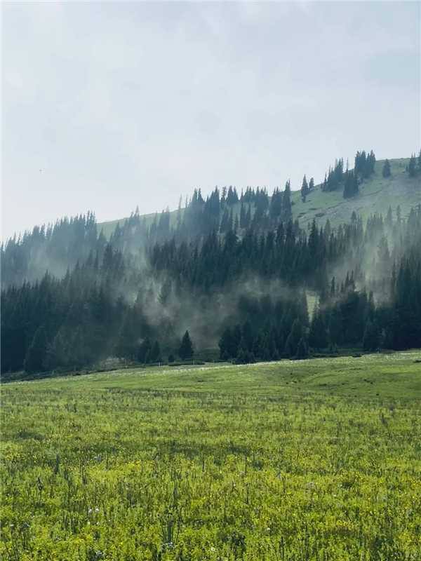 Конная разведка в Китай (14/38)