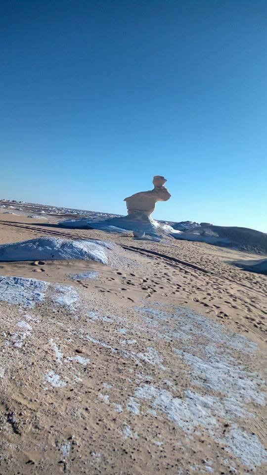 Египет: фестиваль Zamna Festival + Белая и Чёрная пустыни (22/23)