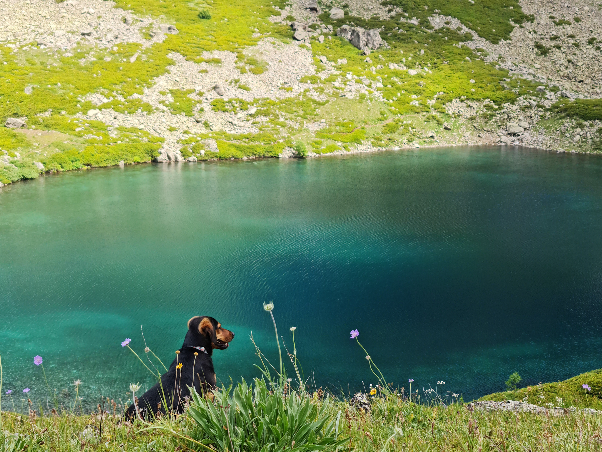 Прекрасные Домбай и Архыз. Все важные локации за 6 дней. (9/21)