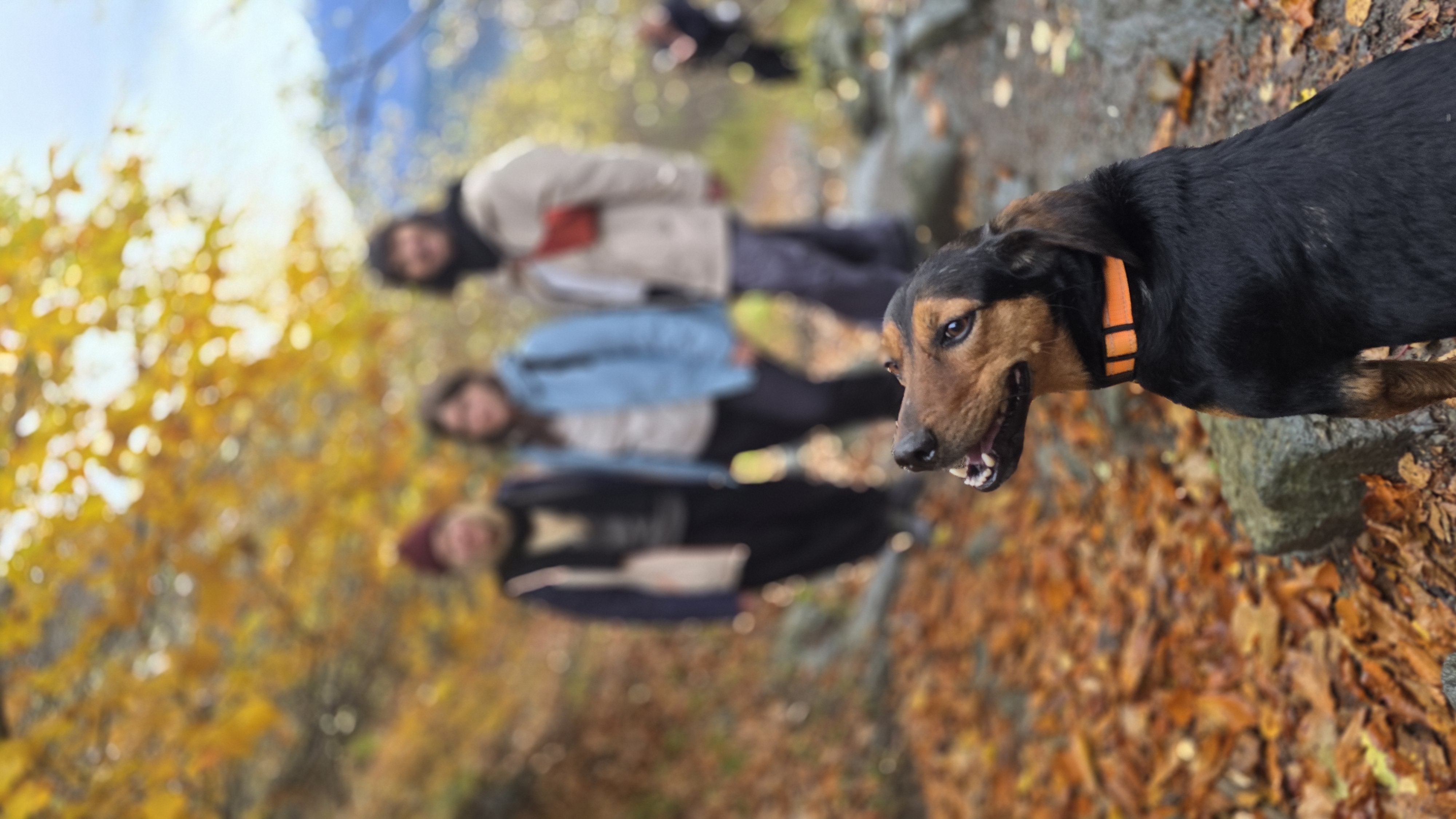 Прекрасные Домбай и Архыз. Все важные локации за 6 дней. (7/21)