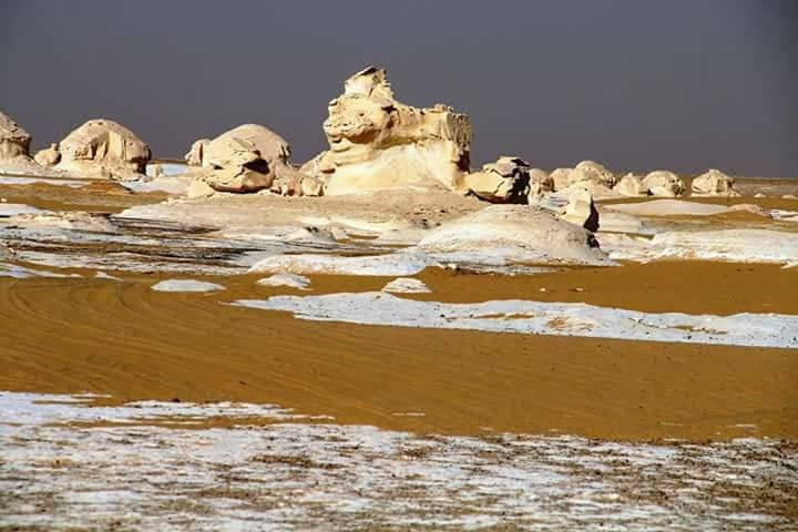 Египет: фестиваль Zamna Festival + Белая и Чёрная пустыни (17/23)