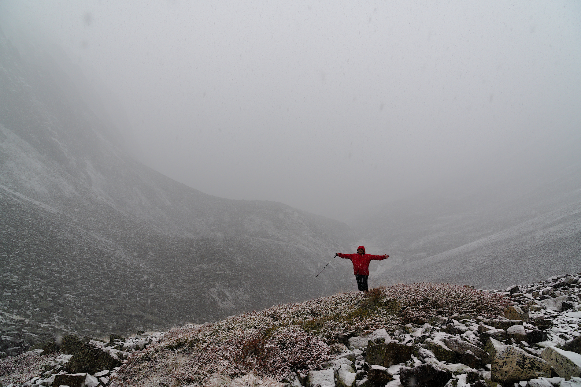 На земле снежного барса. Дикий Алтай (26/39)