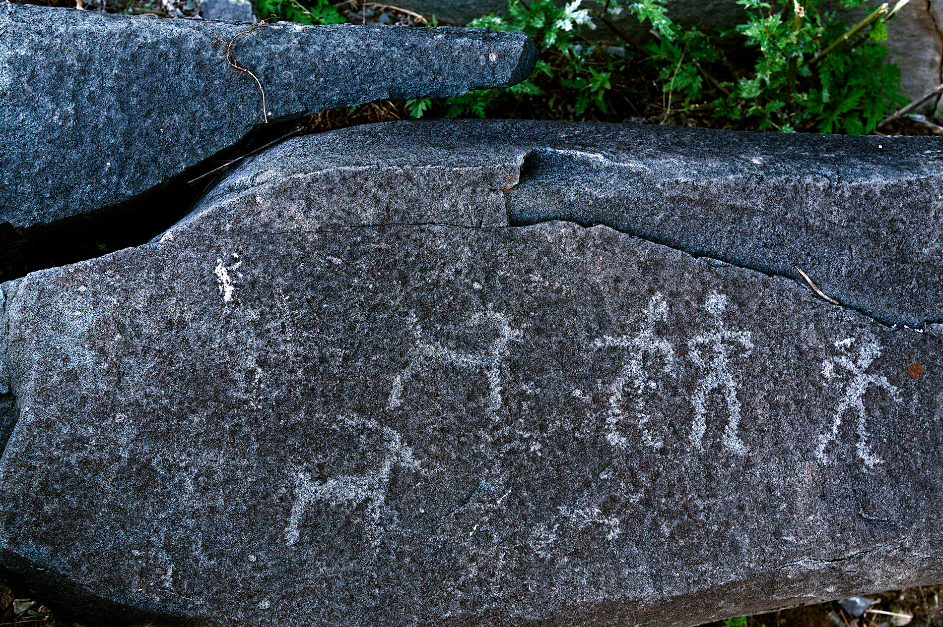 5 тайн Алтая. Тур для любителей неизведанного (22/26)