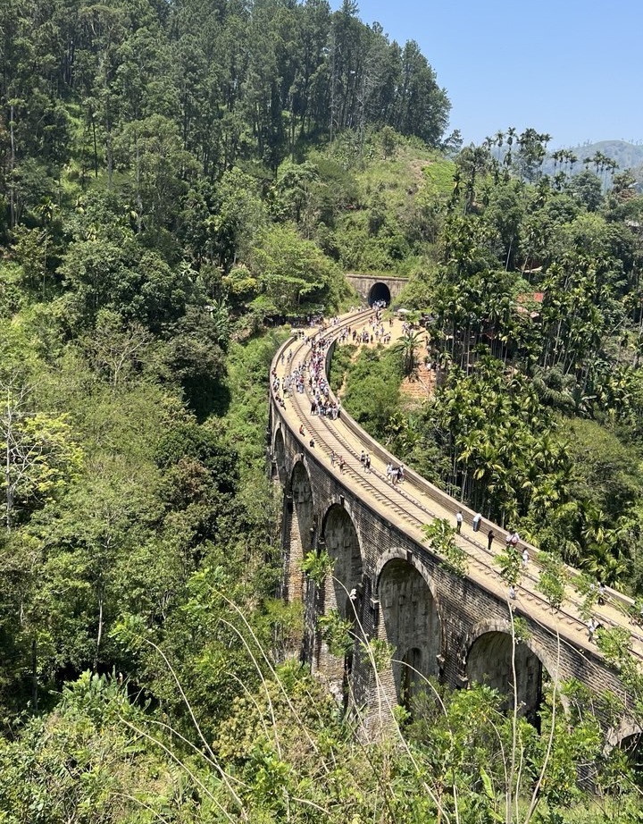 Ретрит с астрологом. Шри-Ланка 9 дней. Путешествие мечты  с личными разборами судьбы (13/21)