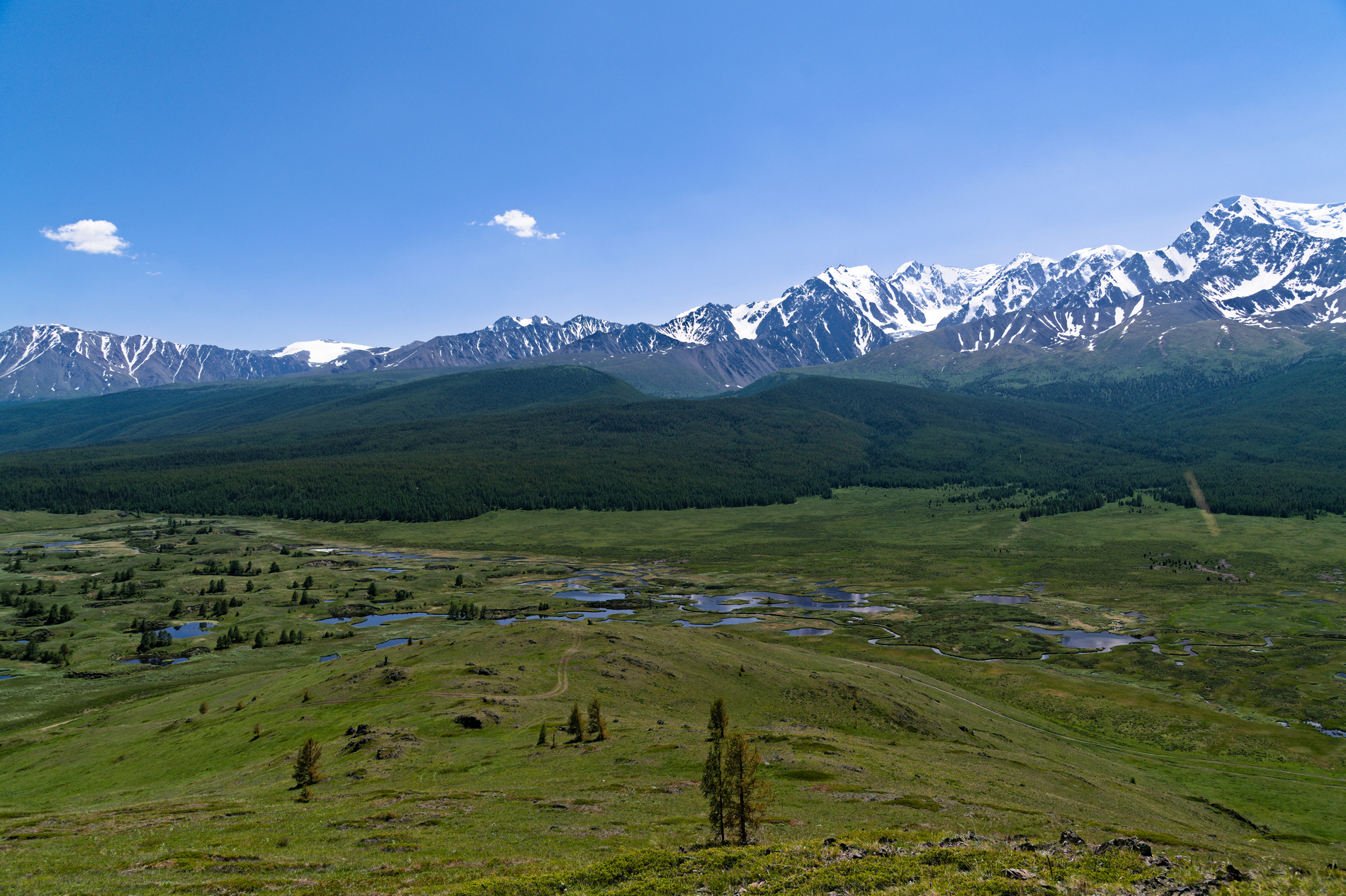 На земле снежного барса. Дикий Алтай (35/39)