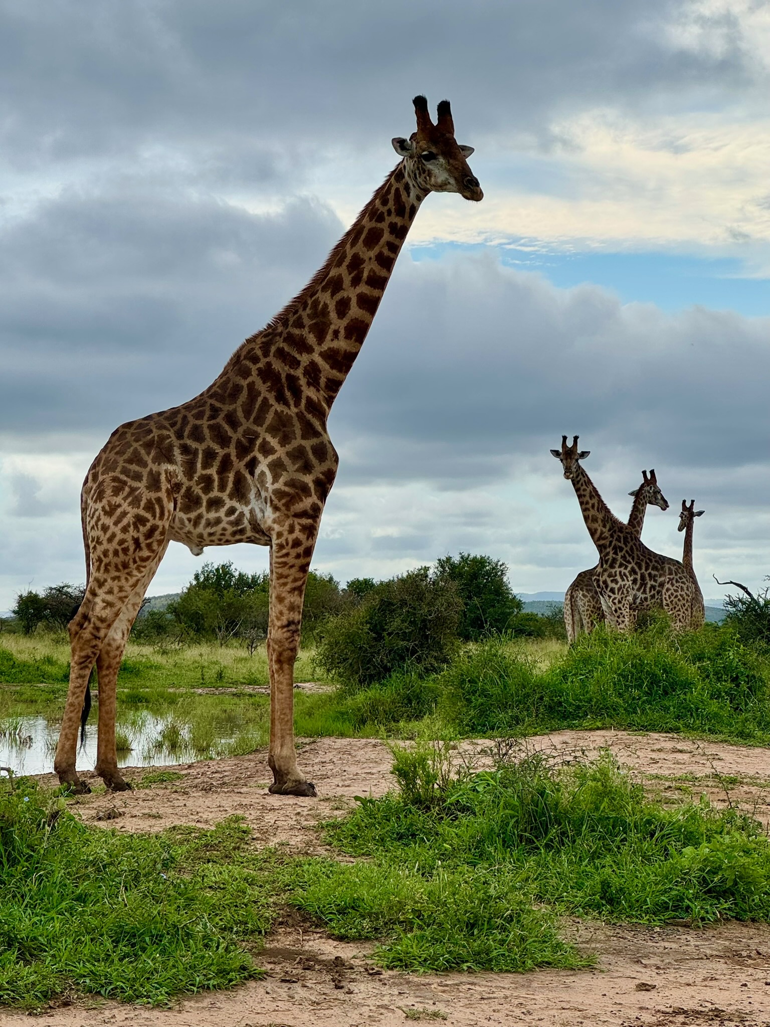 Намибия. Где дюны целуют океан (4/20)
