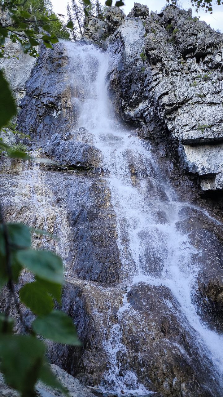 Цветение Маральника - Сиреневые горы Алтая (14/18)