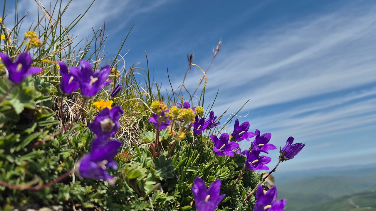Северное Приэльбрусье. Урочище Джилы-Су (28/47)