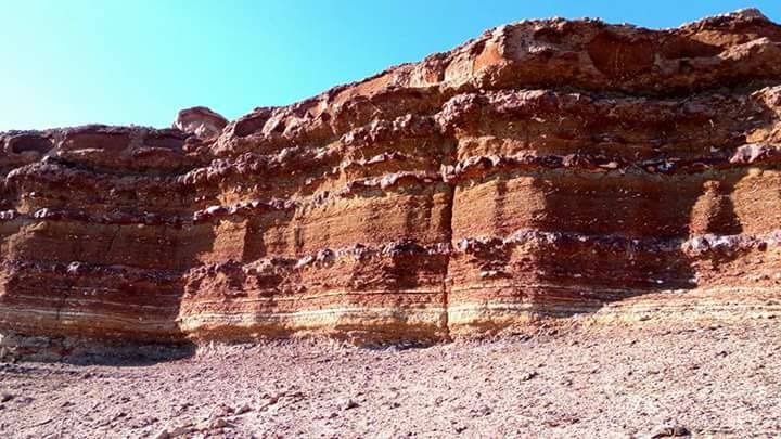 Египет: фестиваль Zamna Festival + Белая и Чёрная пустыни (21/23)