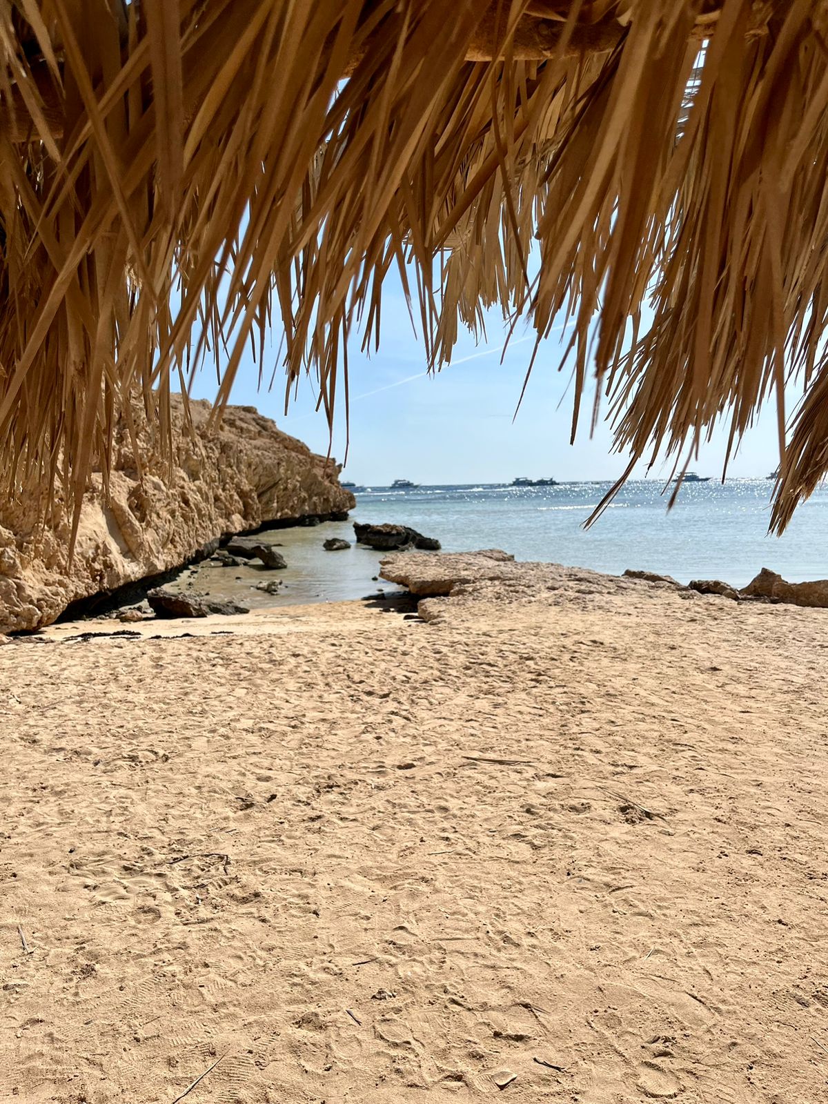 Индивидуальная экскурсия в заповедник рас Мухамад с обедом море продукты на пляже (6/28)