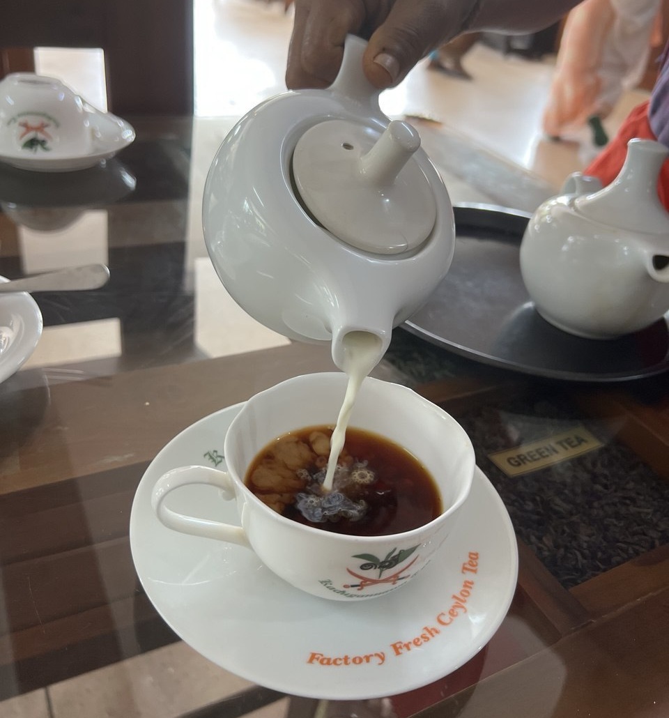 Ретрит с астрологом. Шри-Ланка 9 дней. Путешествие мечты  с личными разборами судьбы (11/21)