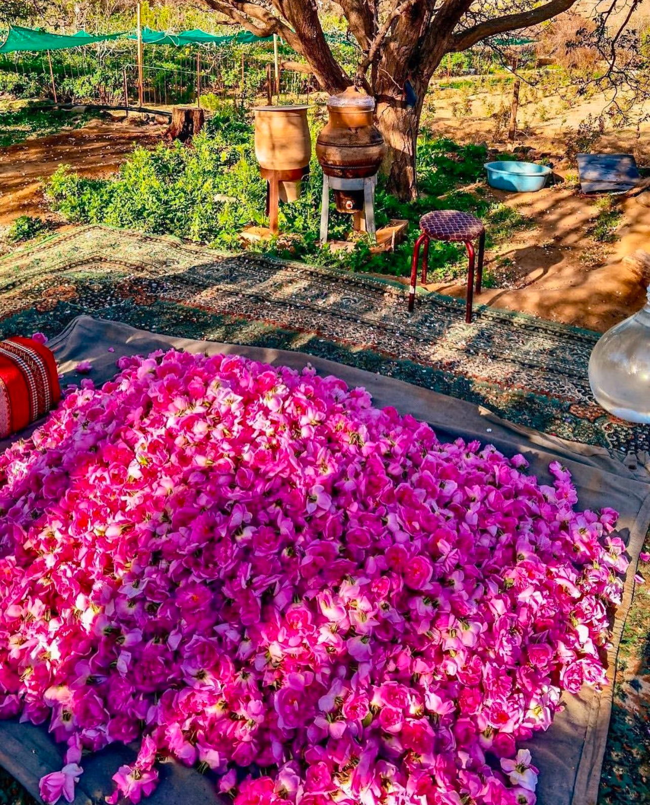 Таиф - другое лицо Саудовской Аравии