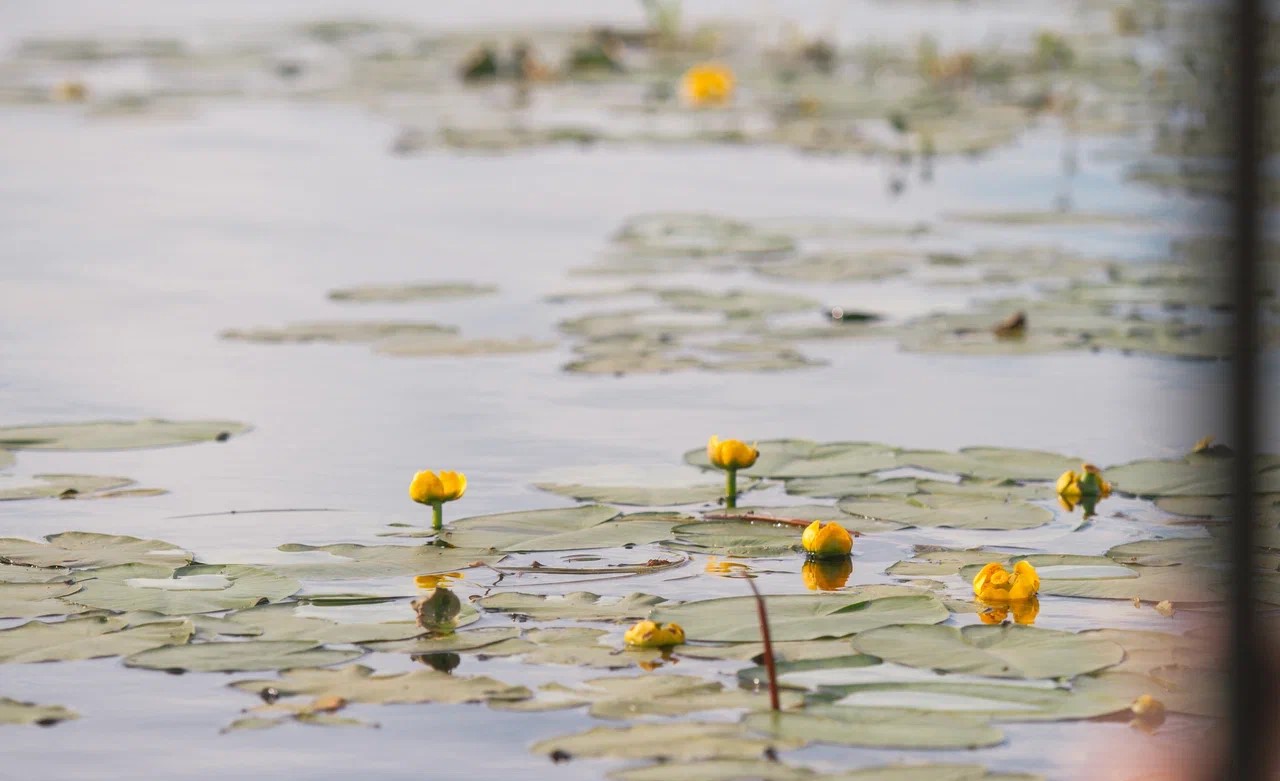 Семейный сплав с детьми на реке Илеть! (13/15)