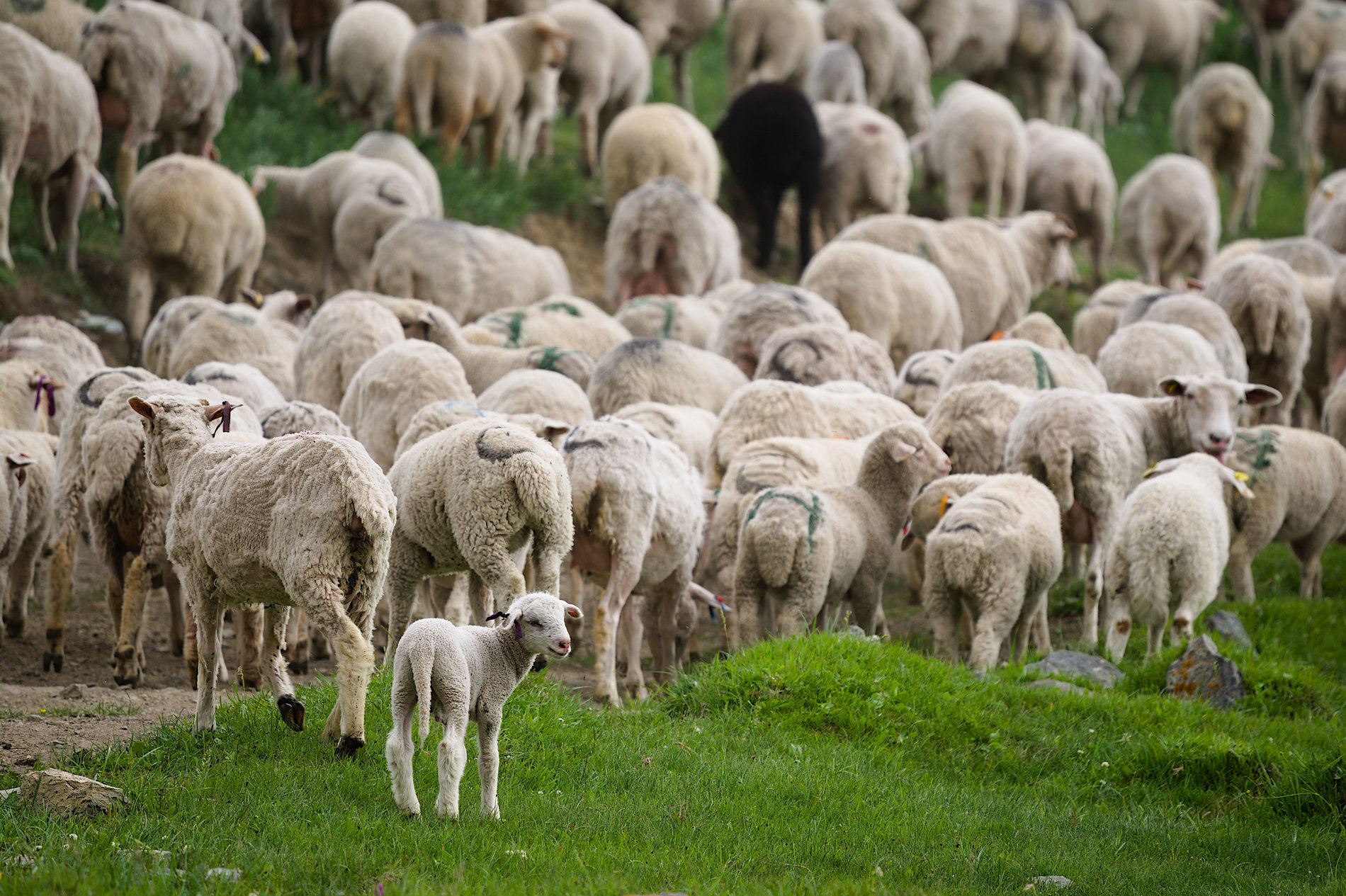 5 тайн Алтая. Тур для любителей неизведанного (26/26)