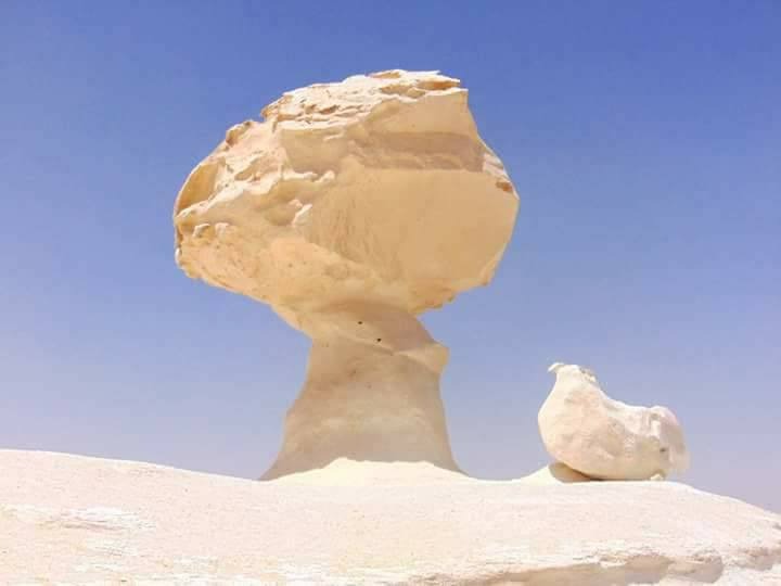 Египет: фестиваль Zamna Festival + Белая и Чёрная пустыни (16/23)