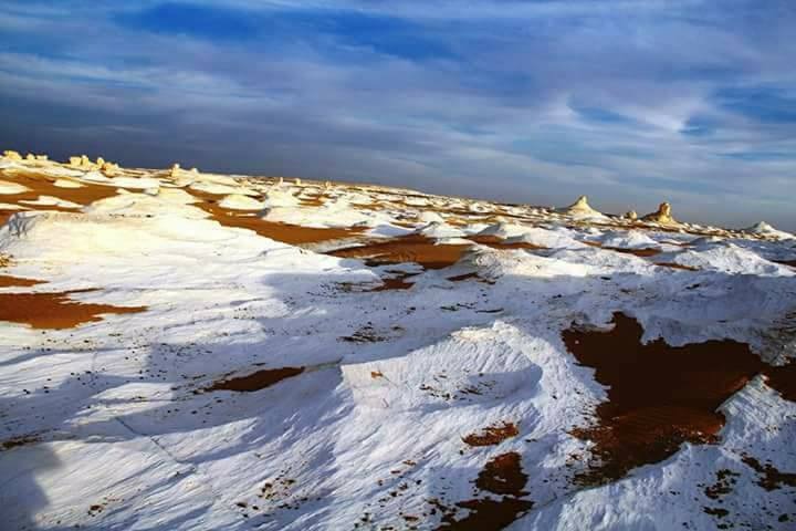 Египет: фестиваль Zamna Festival + Белая и Чёрная пустыни (20/23)