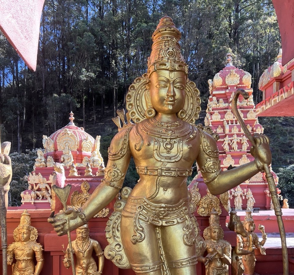 Ретрит с астрологом. Шри-Ланка 9 дней. Путешествие мечты  с личными разборами судьбы (7/21)