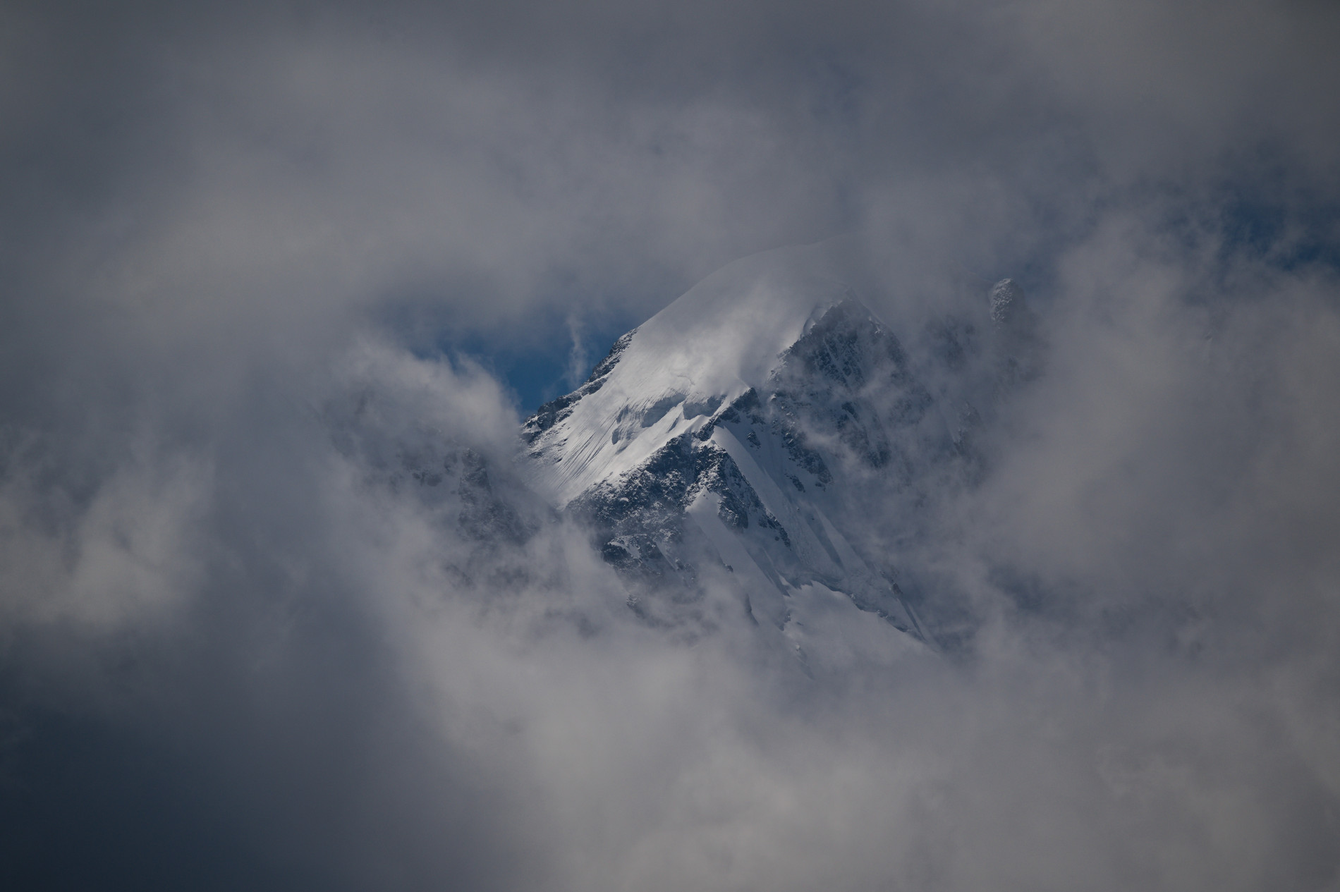 На земле снежного барса. Дикий Алтай (3/39)