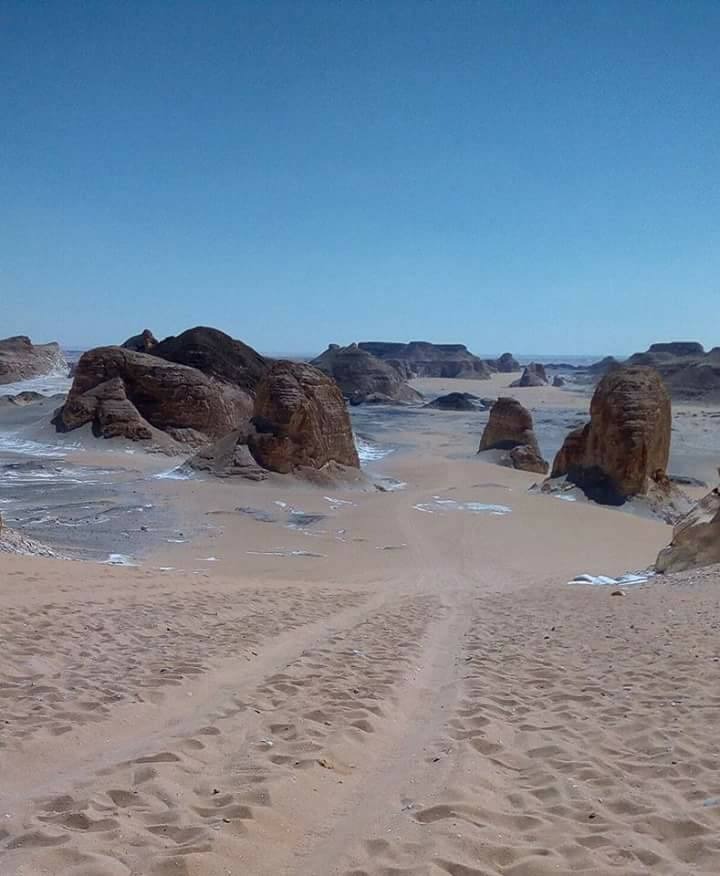 Египет: фестиваль Zamna Festival + Белая и Чёрная пустыни (18/23)