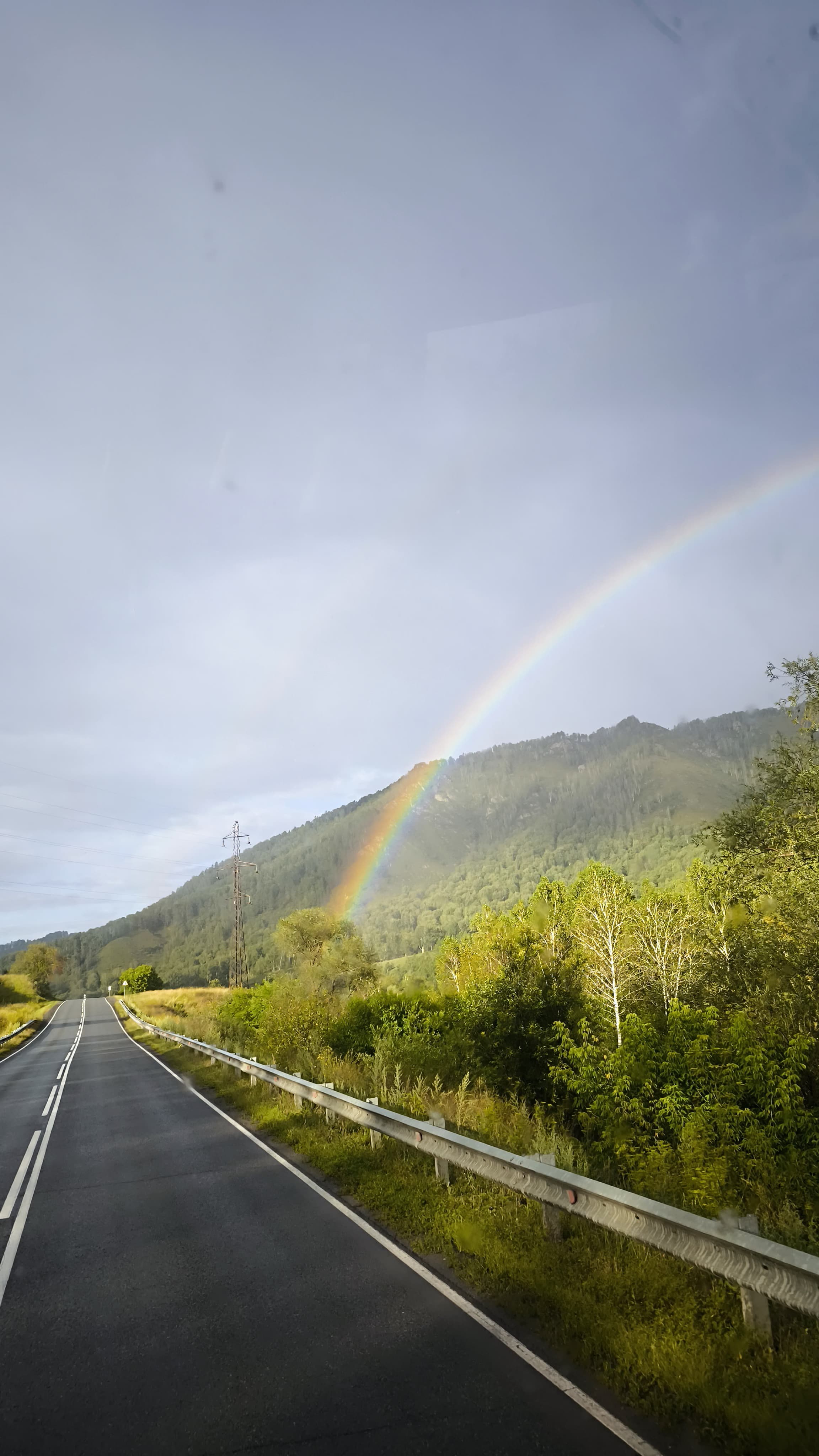 Цветение Маральника - Сиреневые горы Алтая (13/18)