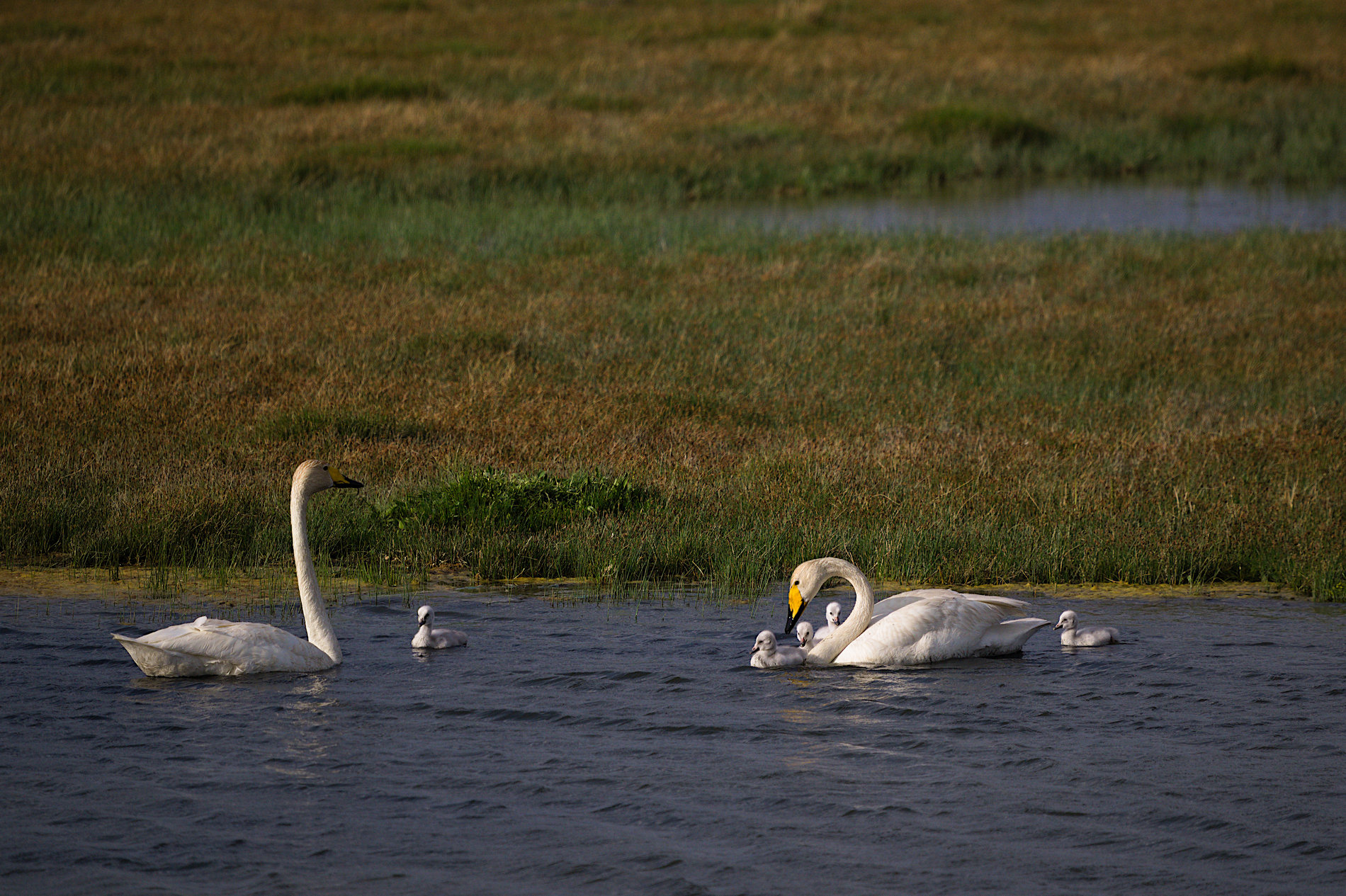 5 тайн Алтая. Тур для любителей неизведанного (23/26)
