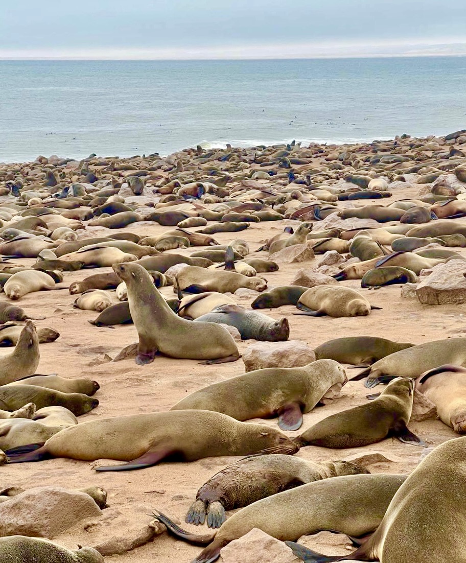 Намибия. Где дюны целуют океан (8/20)