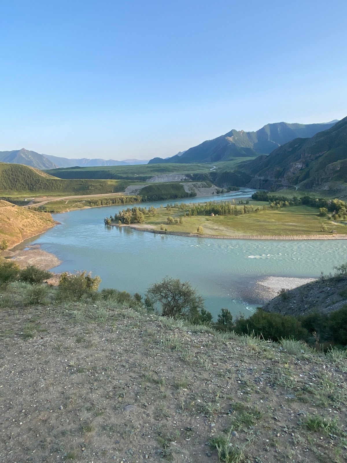 Цветение Маральника - Сиреневые горы Алтая (17/18)