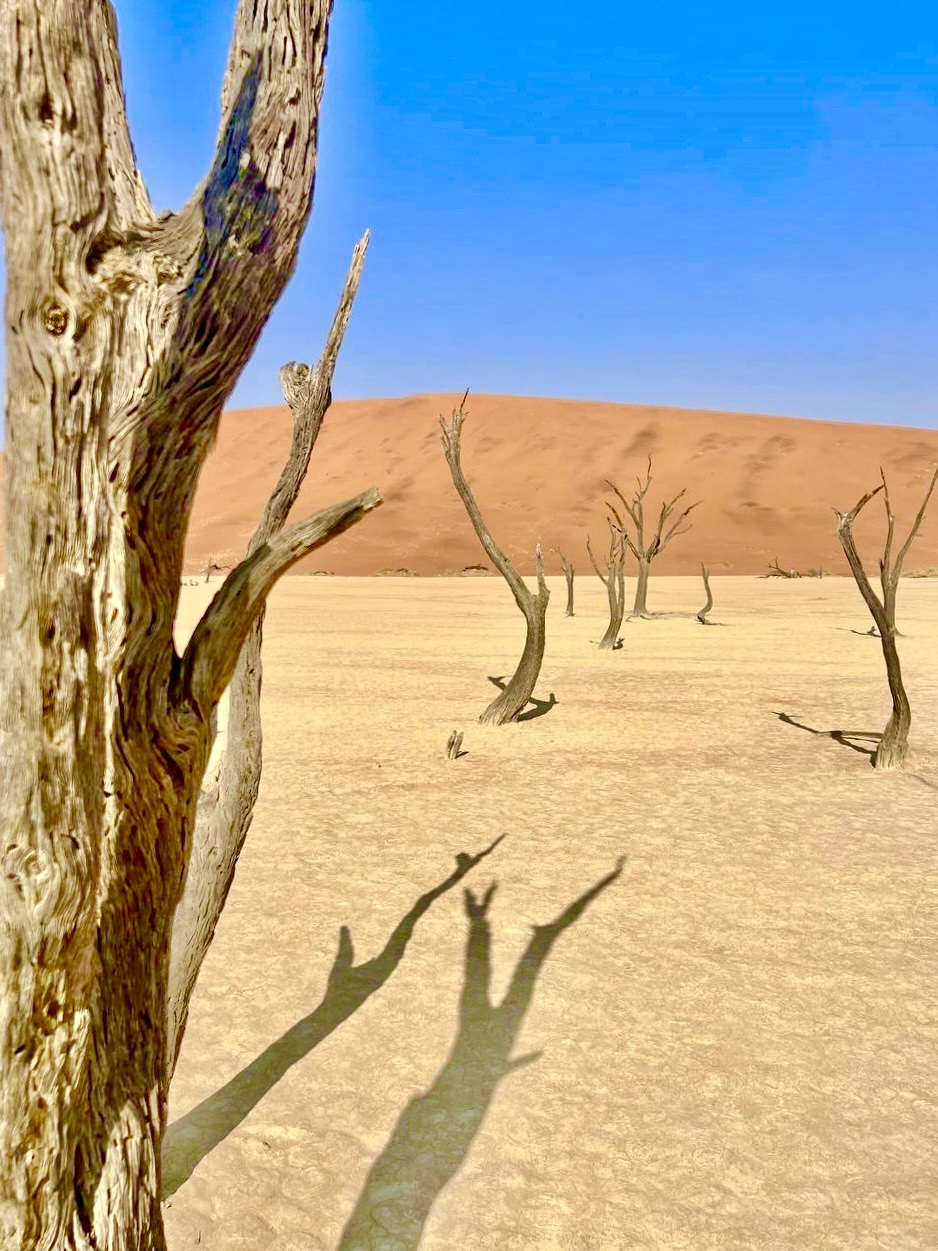 Намибия. Где дюны целуют океан (14/20)