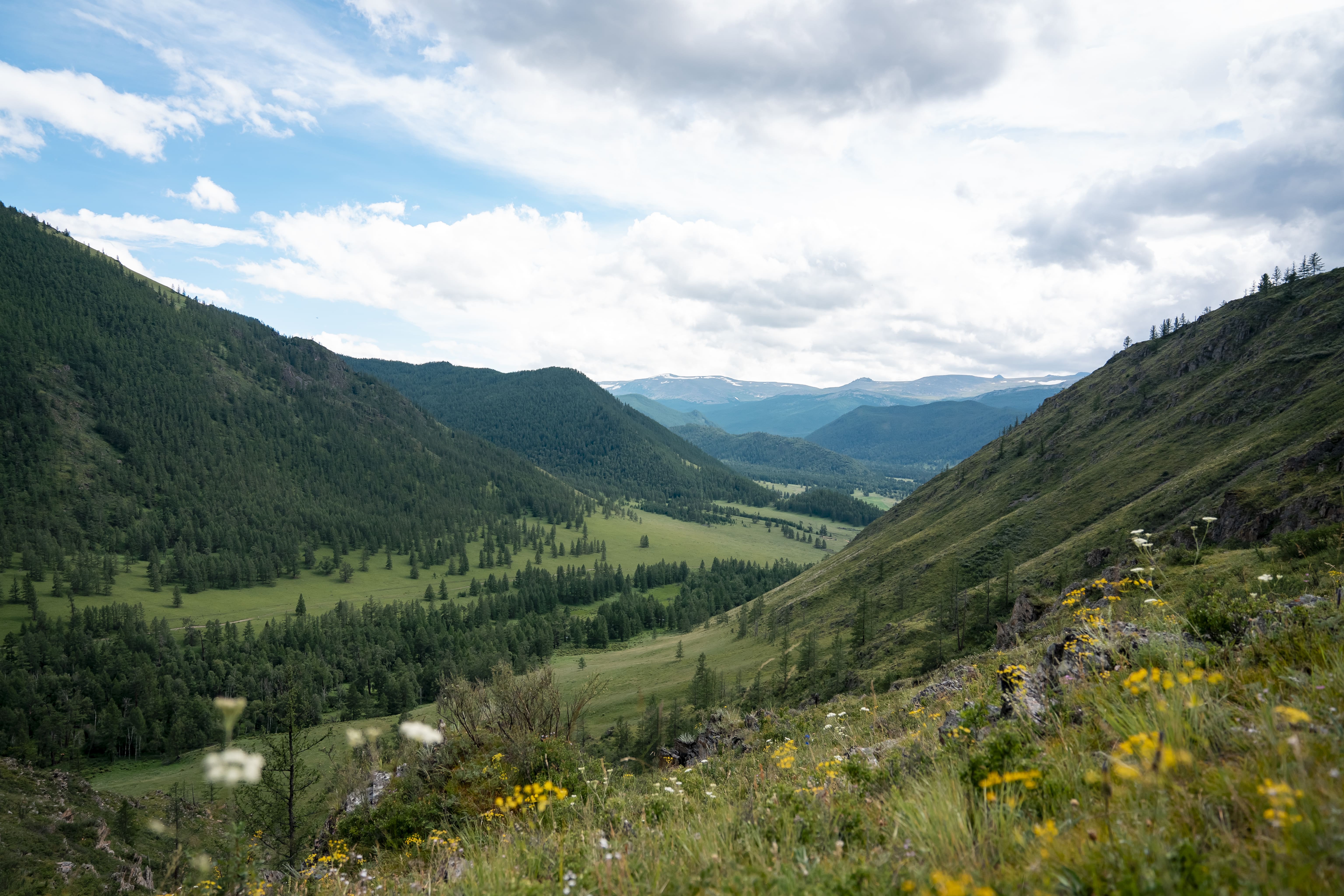 Погружение в Алтай 2026 (5/20)