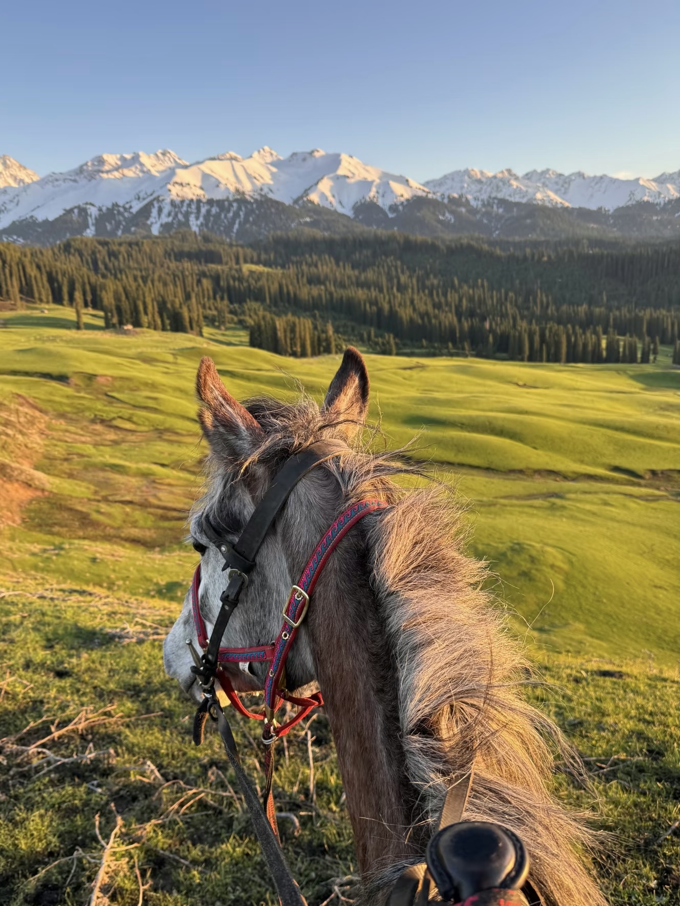 Конная разведка в Китай (13/38)