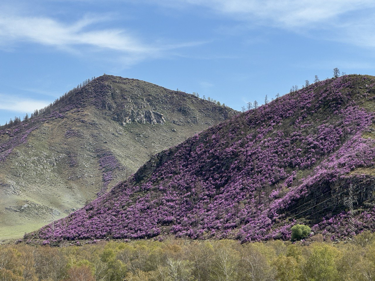 Туры на Алтай - по Чуйскому тракту до Алтайского Марса за 2 дня! (10/13)
