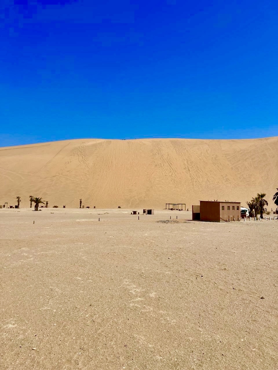 Намибия. Где дюны целуют океан (17/20)