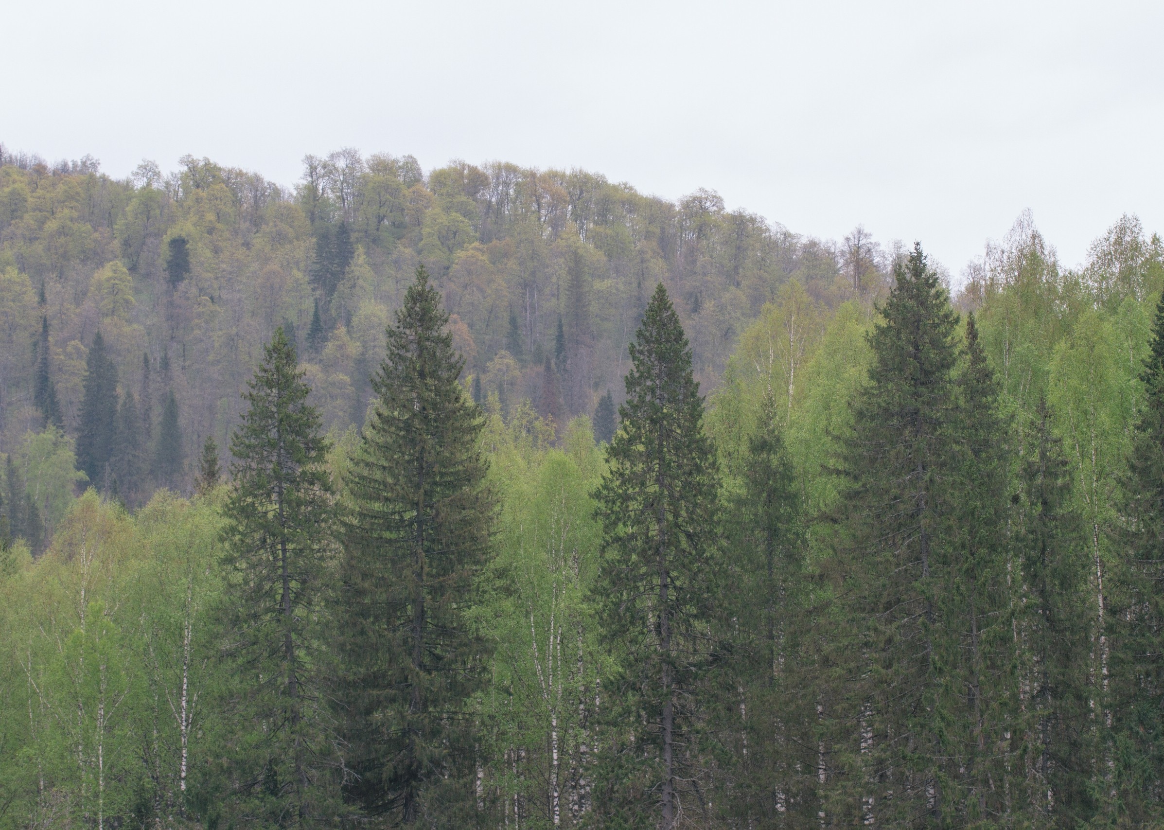 Активный сплав по реке Зилим с порогом Кысык! (16/24)