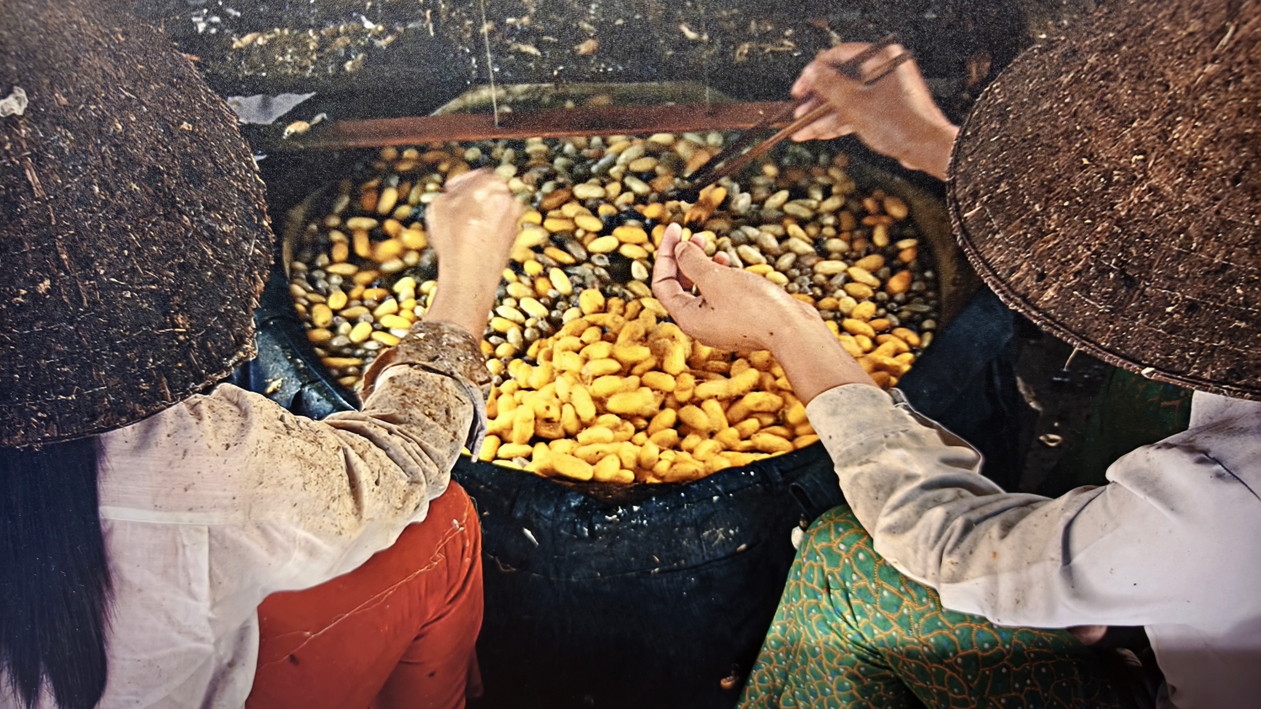 Путешествие к центру земли. Великолепный Дананг (9/35)