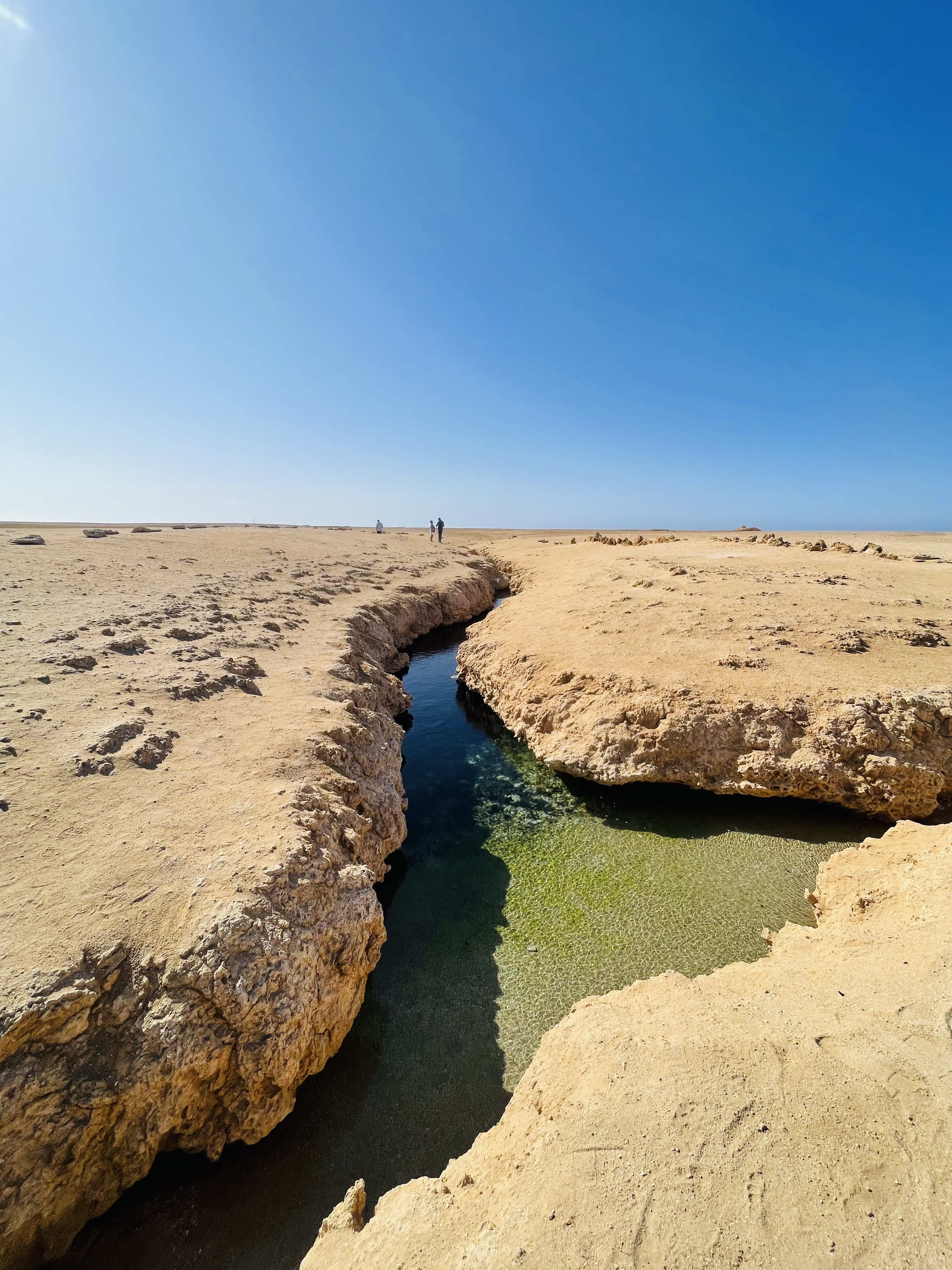 Индивидуальная экскурсия в заповедник рас Мухамад с обедом море продукты на пляже (12/28)