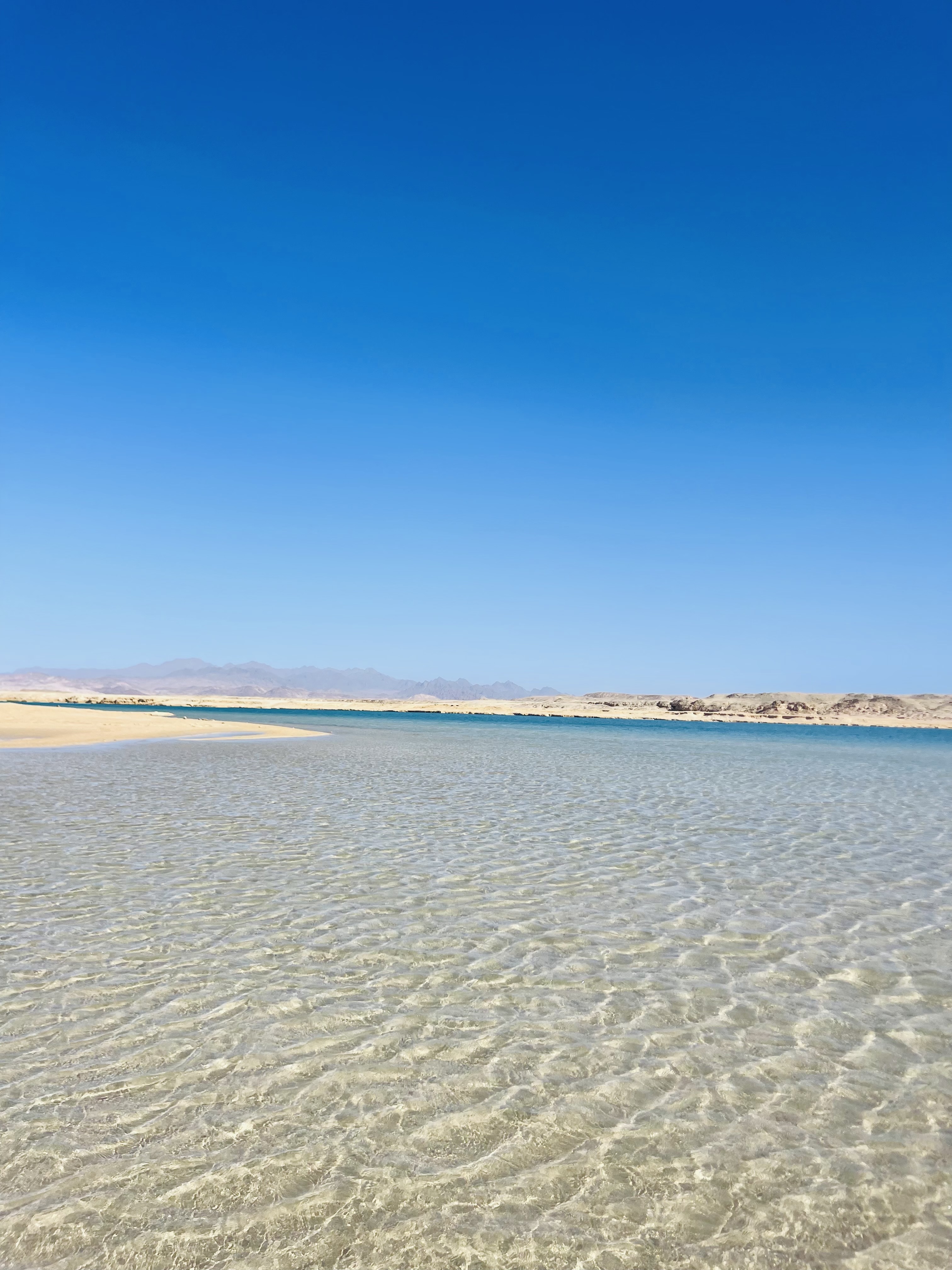 Индивидуальная экскурсия в заповедник рас Мухамад с обедом море продукты на пляже (27/28)