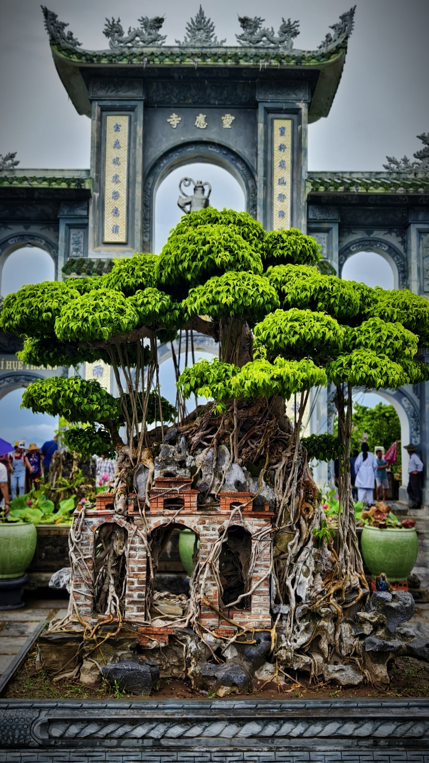 Путешествие к центру земли. Великолепный Дананг (6/35)