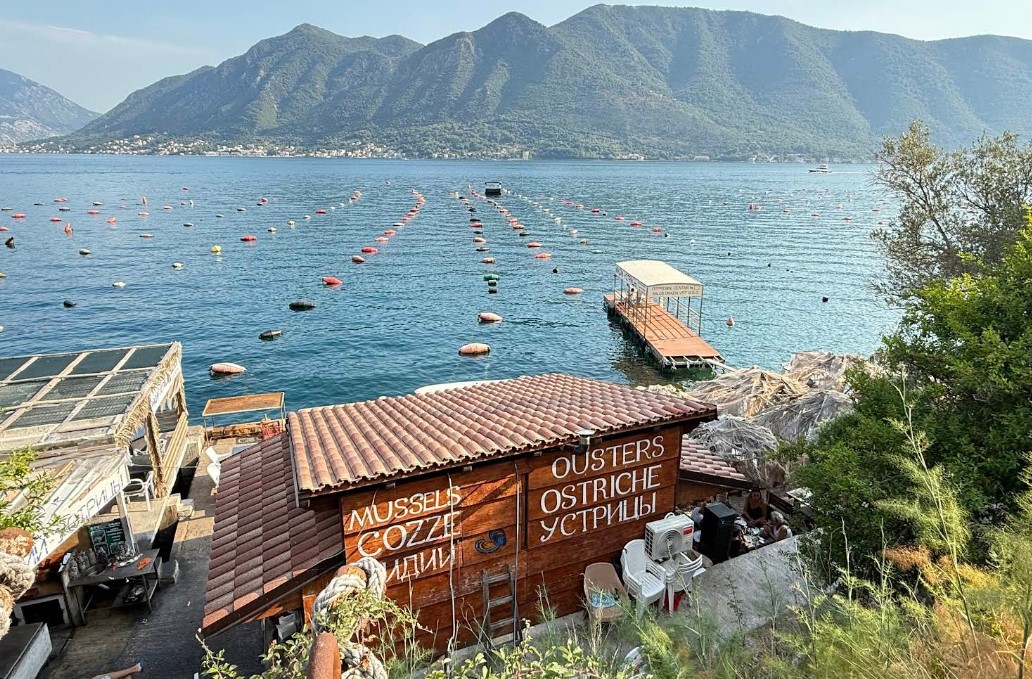 Черногория. Европейские каникулы на яхте Без Визы. (2/23)