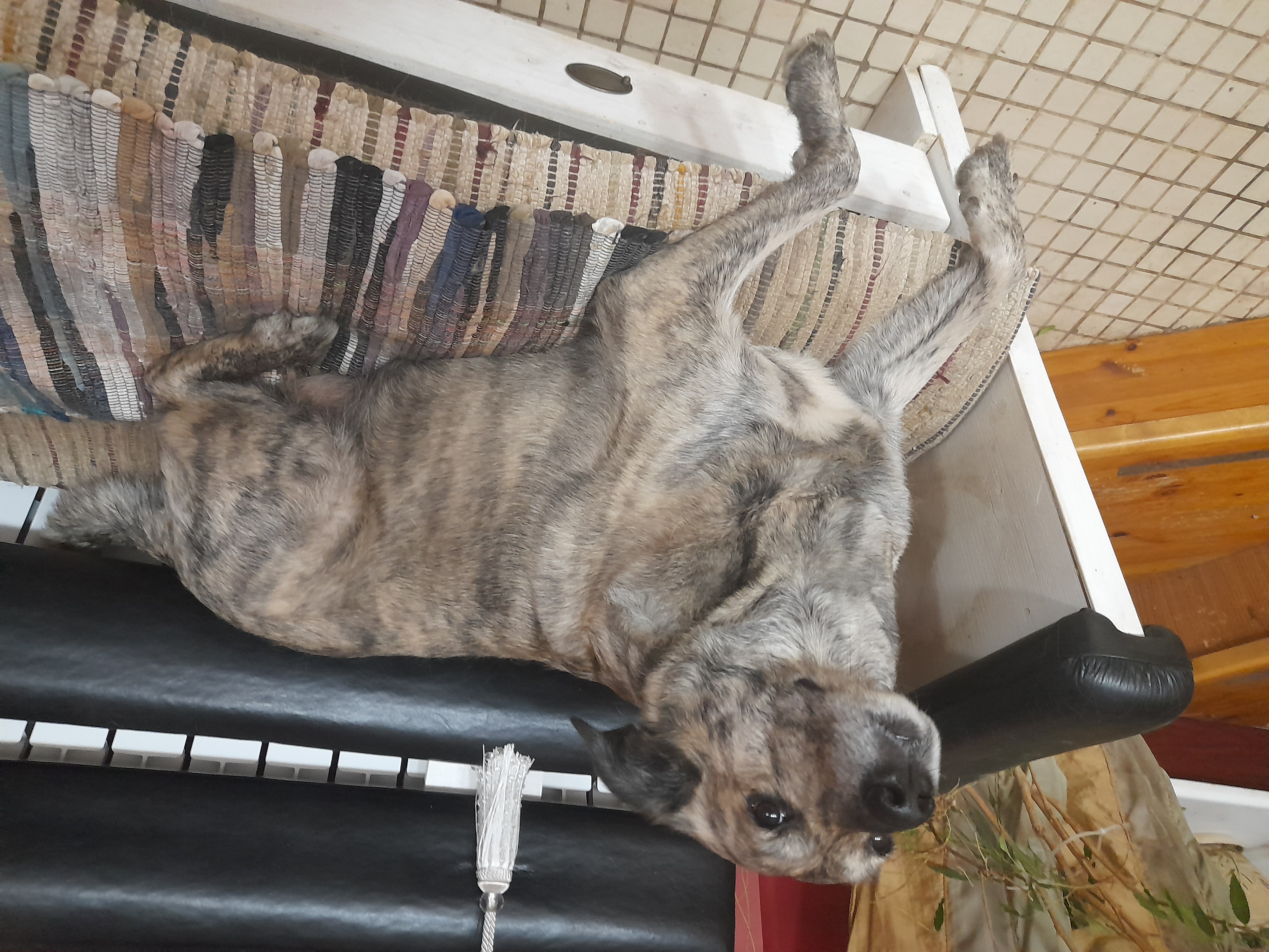 Вкусные традиции Скандинавской кухни (8/20)