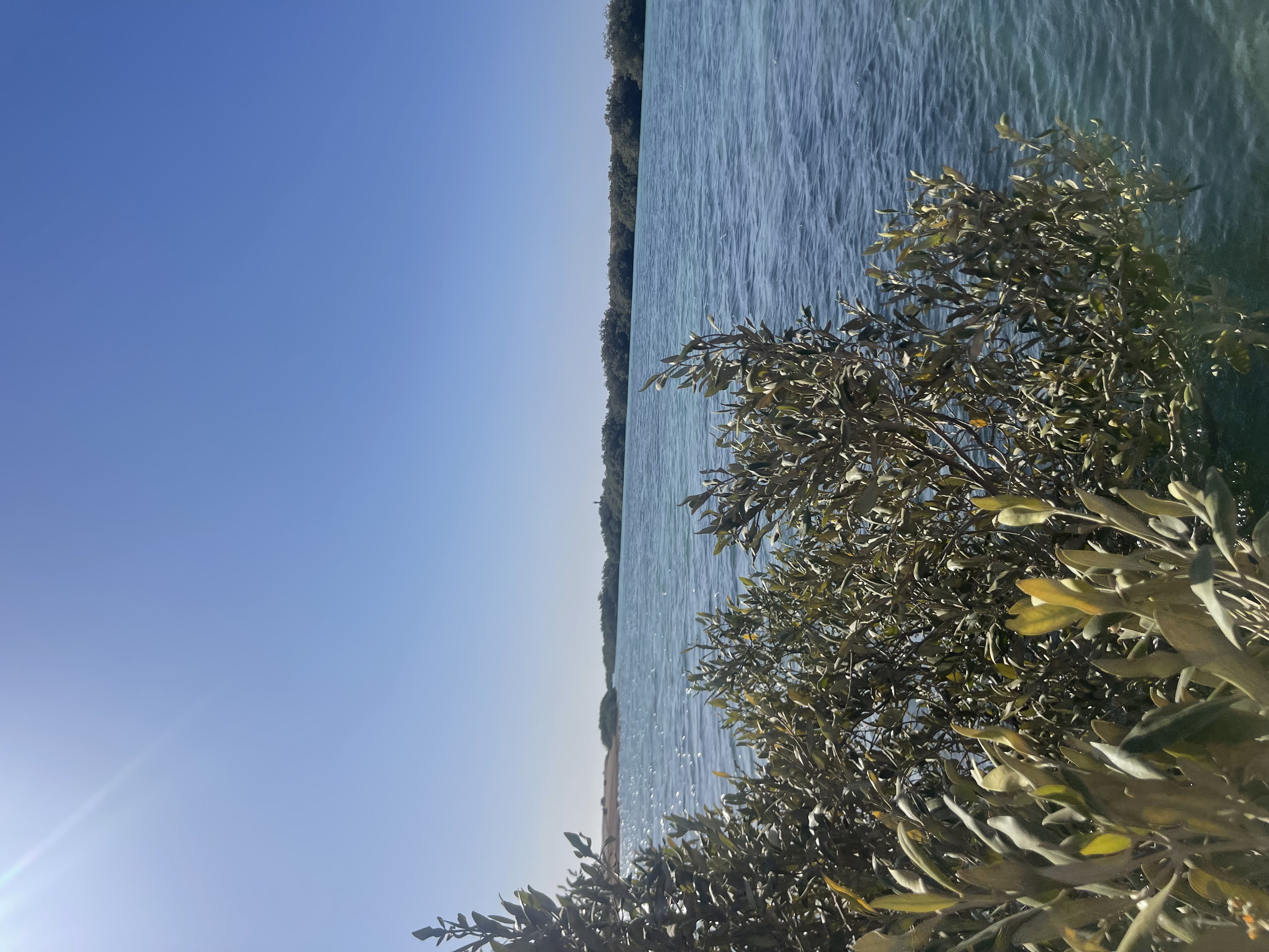 Индивидуальная экскурсия в заповедник рас Мухамад с обедом море продукты на пляже (23/28)