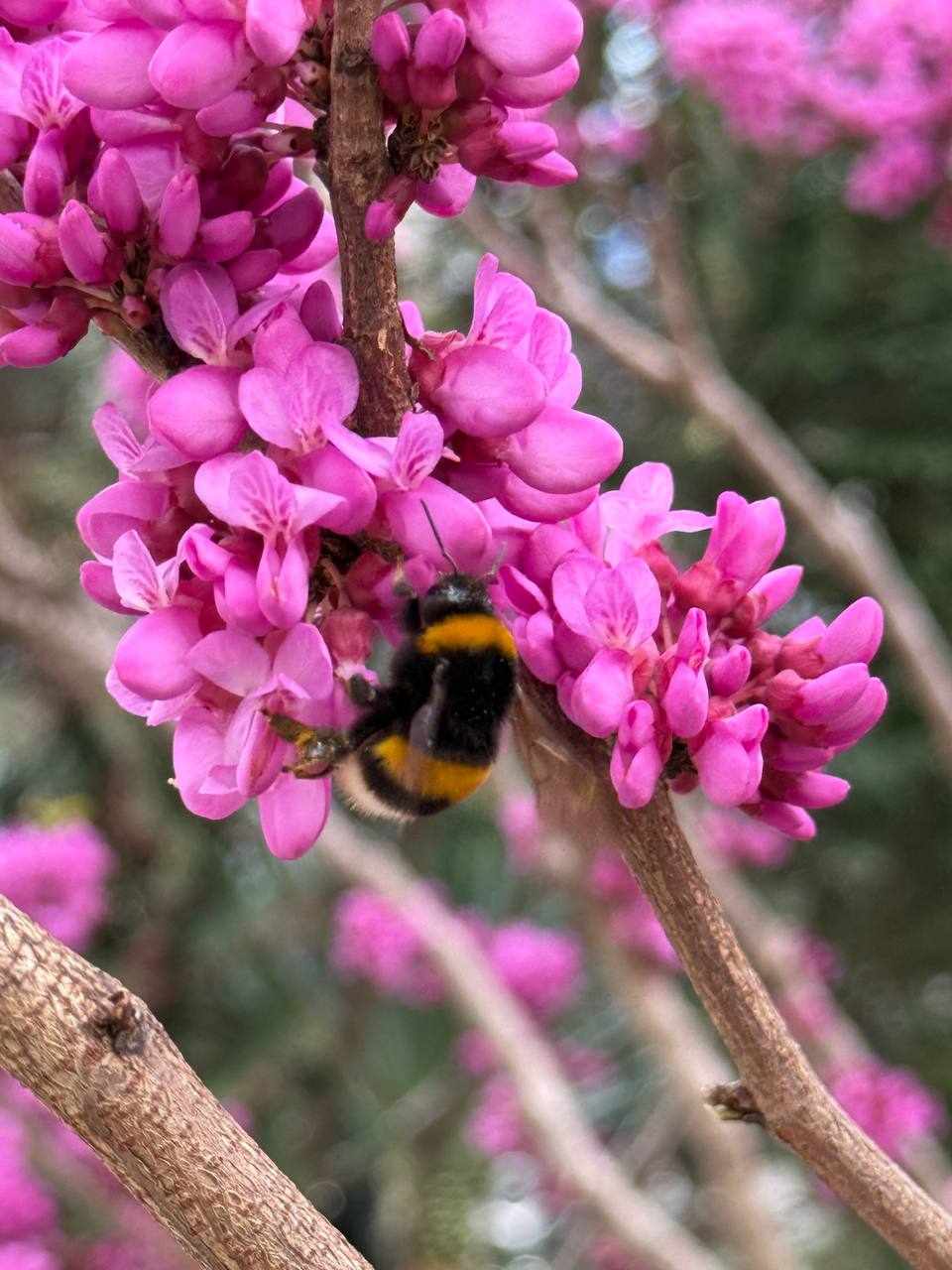 Йога-ретрит Путешествие к себе: карта внутреннего мира (14/20)