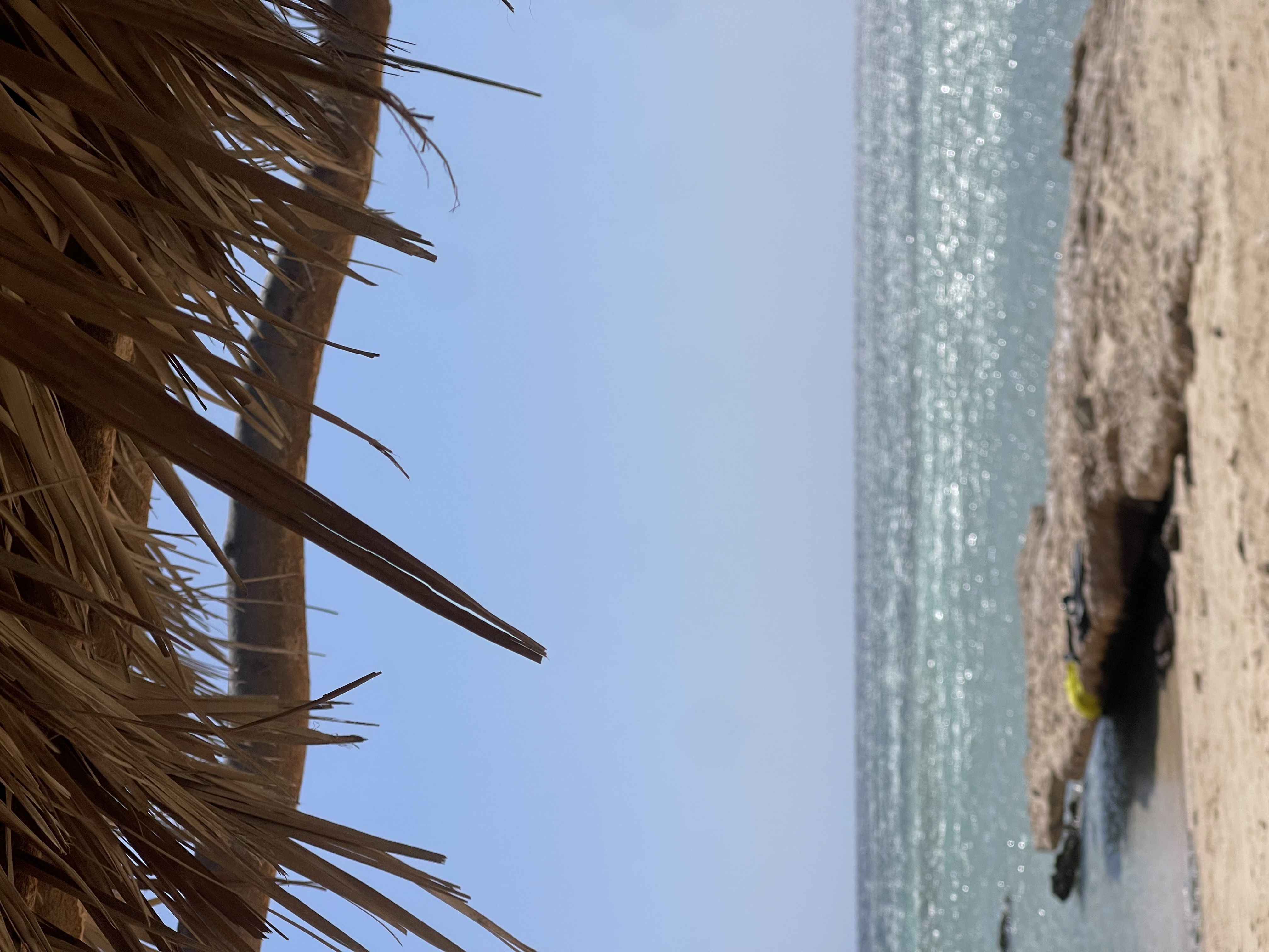 Индивидуальная экскурсия в заповедник рас Мухамад с обедом море продукты на пляже (8/28)