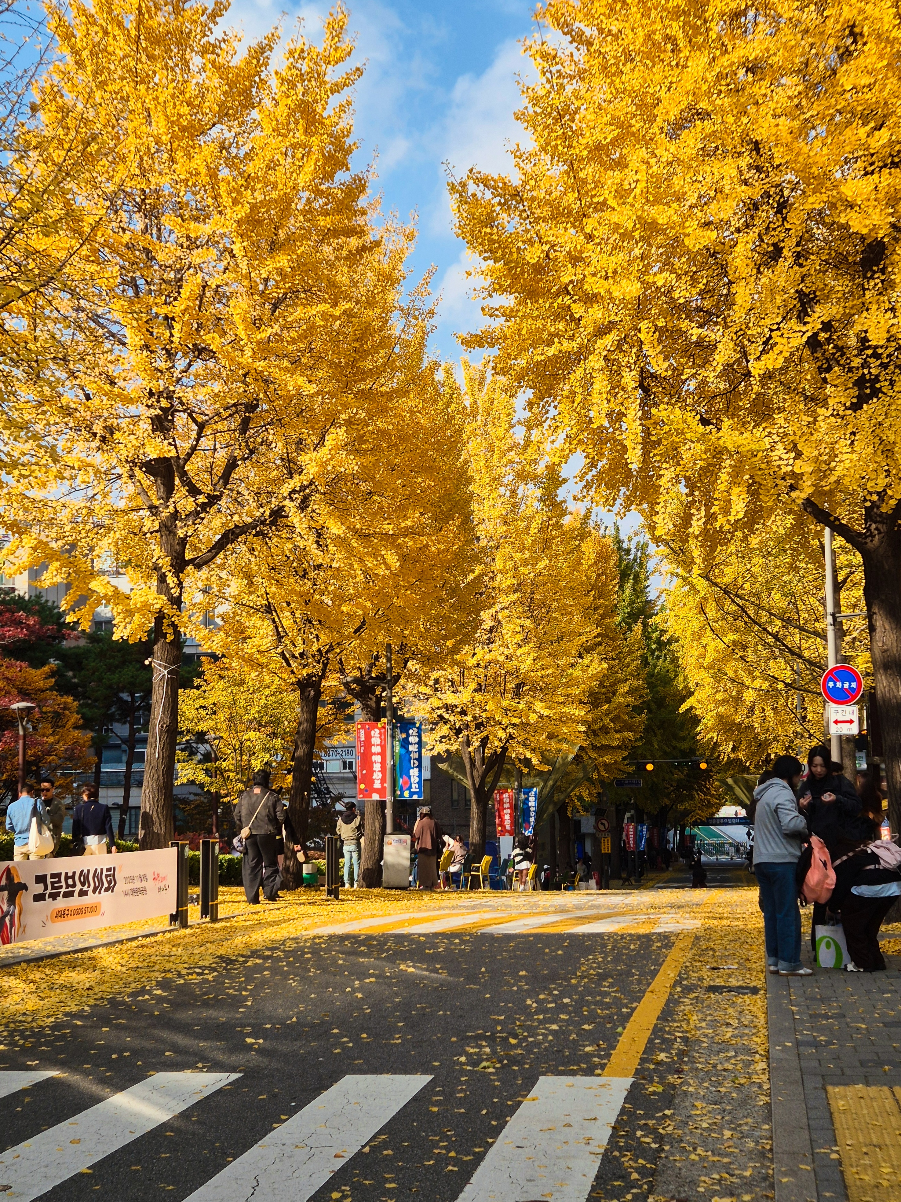 Университет Ихва и ночная жизнь Сеула
