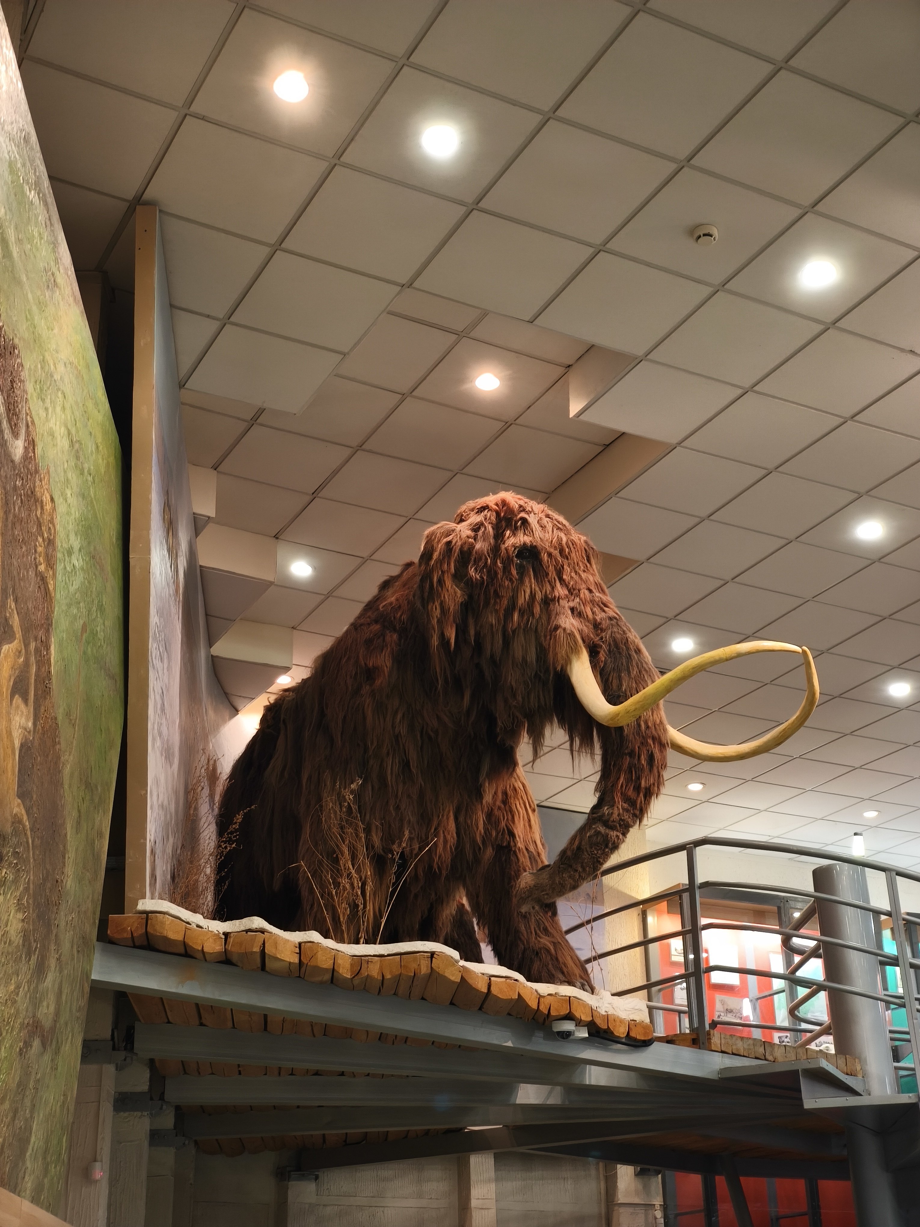 Тур-экспедиция в Якутию (3/15)