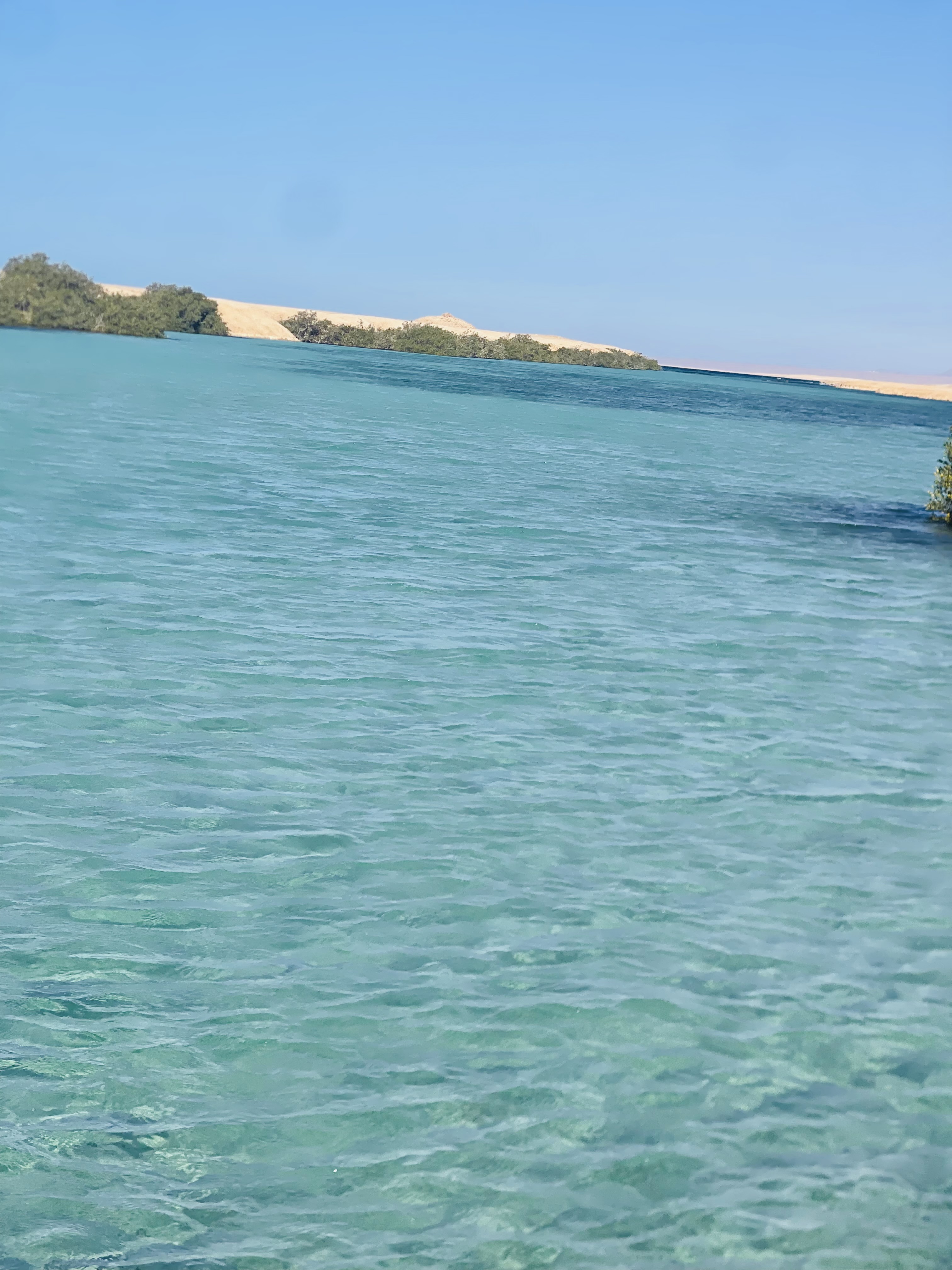 Индивидуальная экскурсия в заповедник рас Мухамад с обедом море продукты на пляже (17/28)