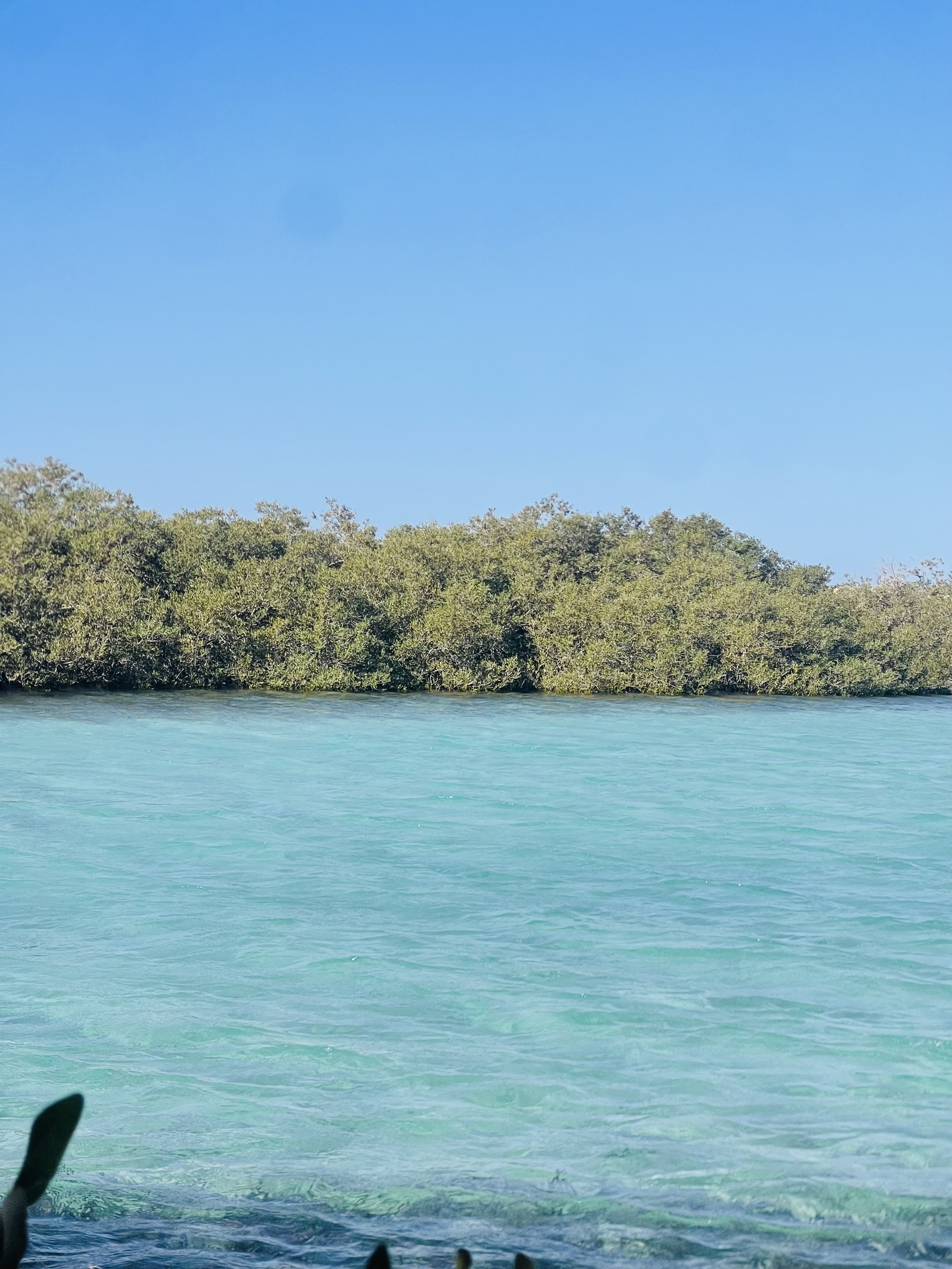 Индивидуальная экскурсия в заповедник рас Мухамад с обедом море продукты на пляже (15/28)