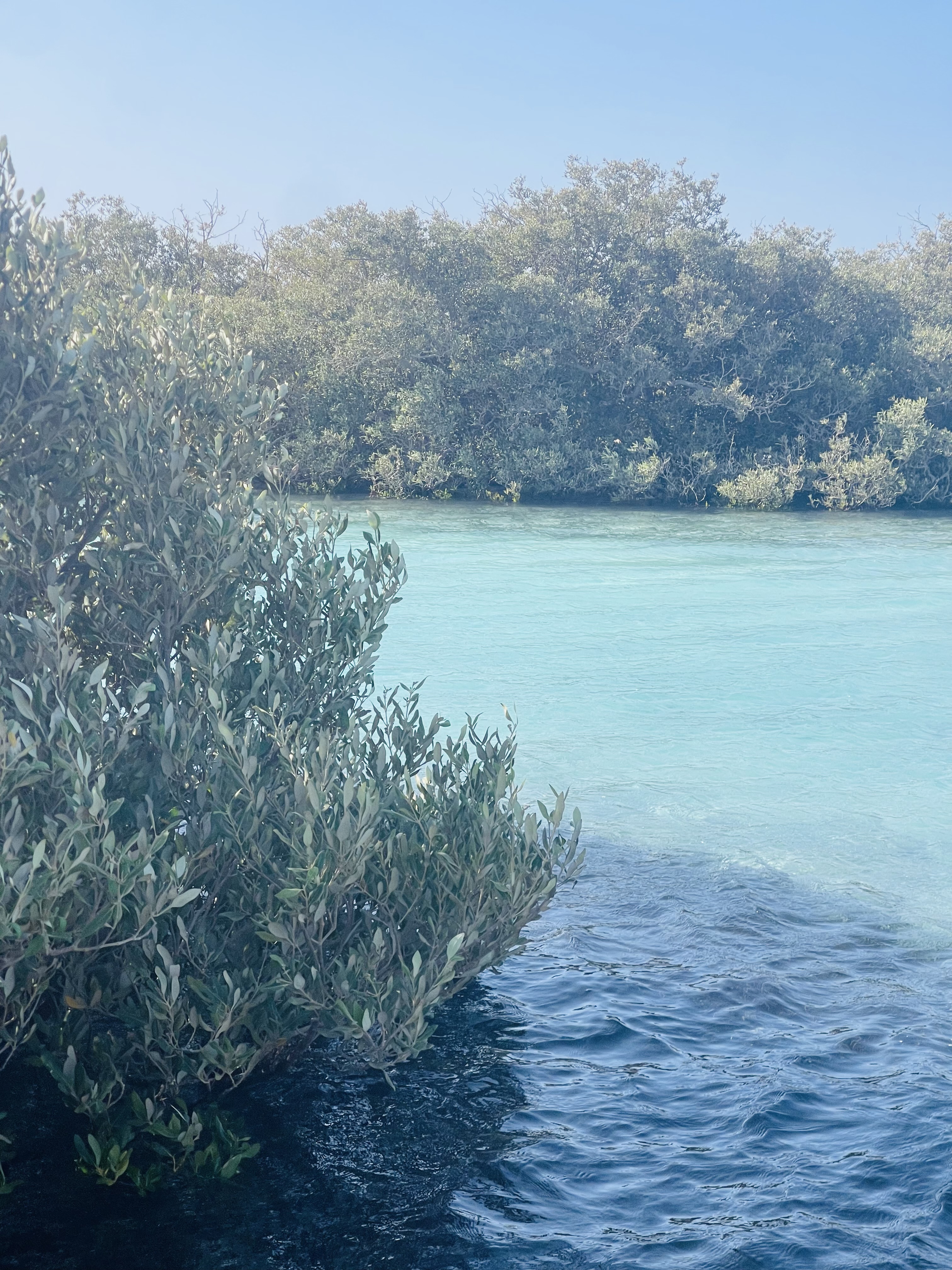 Индивидуальная экскурсия в заповедник рас Мухамад с обедом море продукты на пляже (16/28)