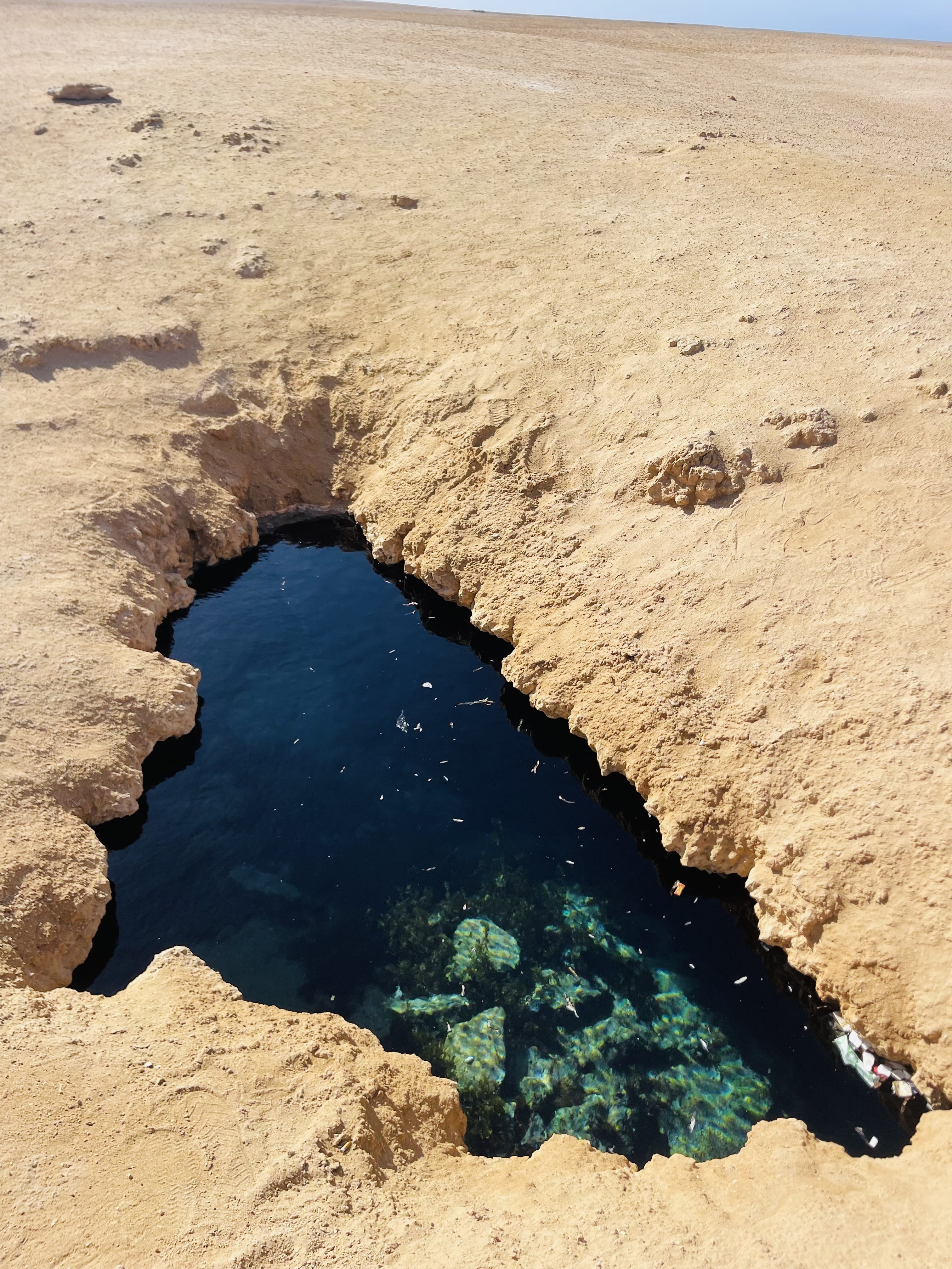 Индивидуальная экскурсия в заповедник рас Мухамад с обедом море продукты на пляже (11/28)