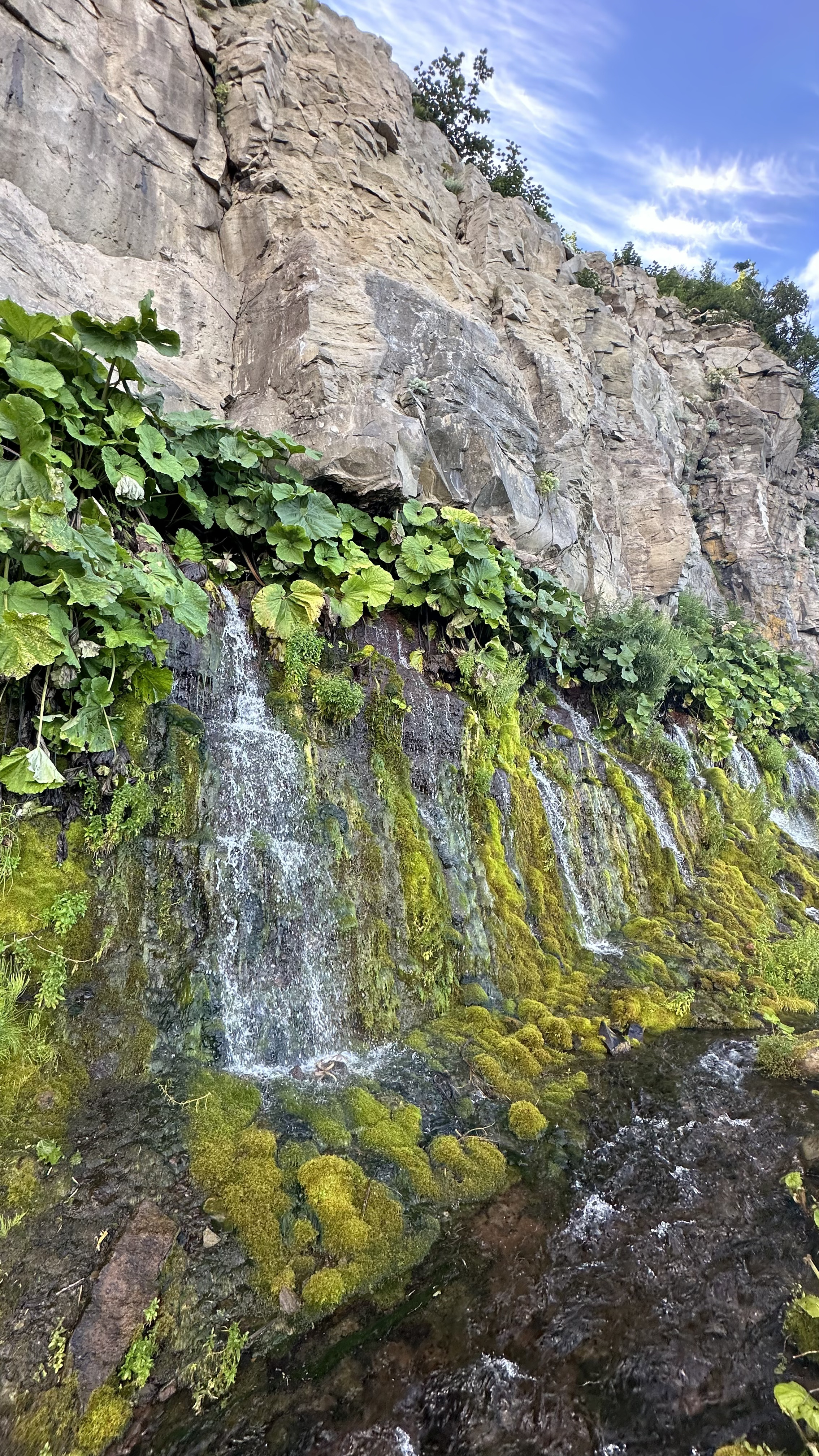 Актив-тур на Курилы Горячие источники Итурупа, Сахалинская область (17/33)