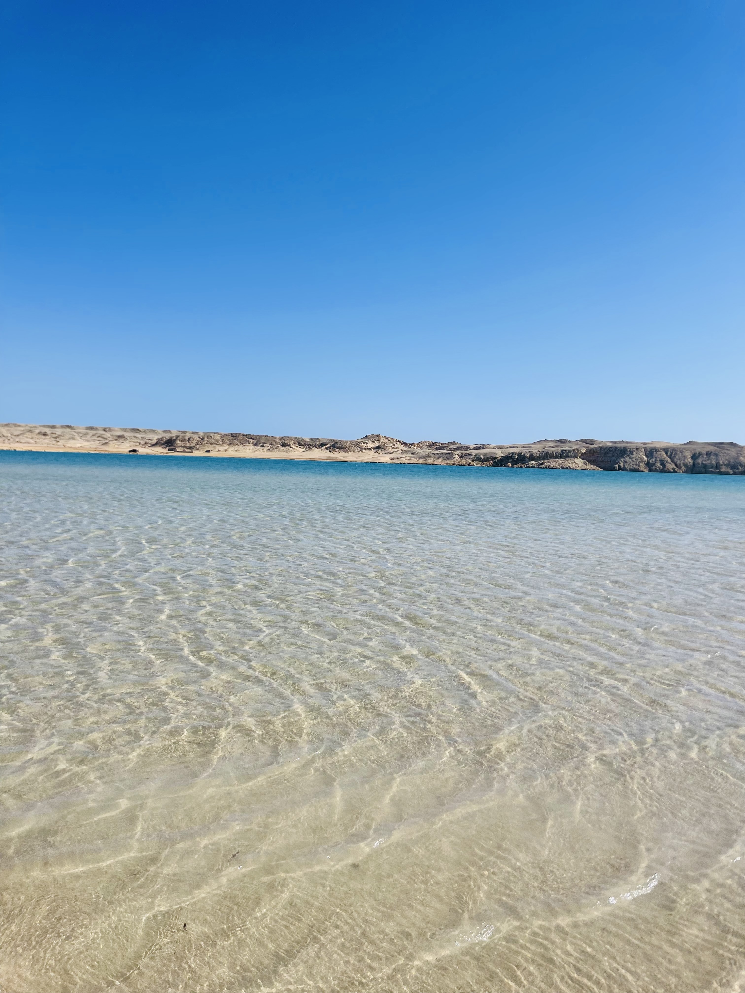 Индивидуальная экскурсия в заповедник рас Мухамад с обедом море продукты на пляже (28/28)